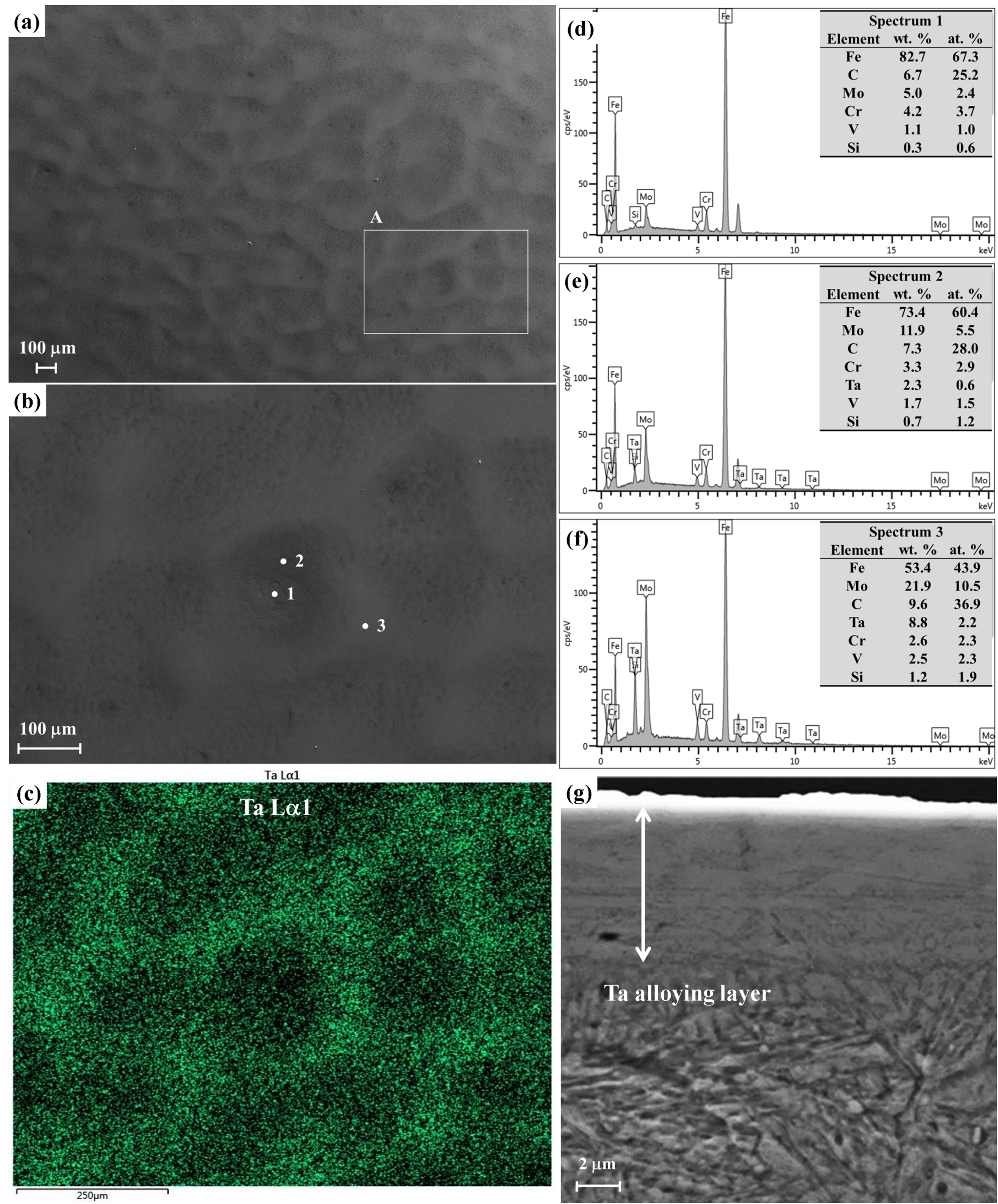 Coatings 08 00355 g001
