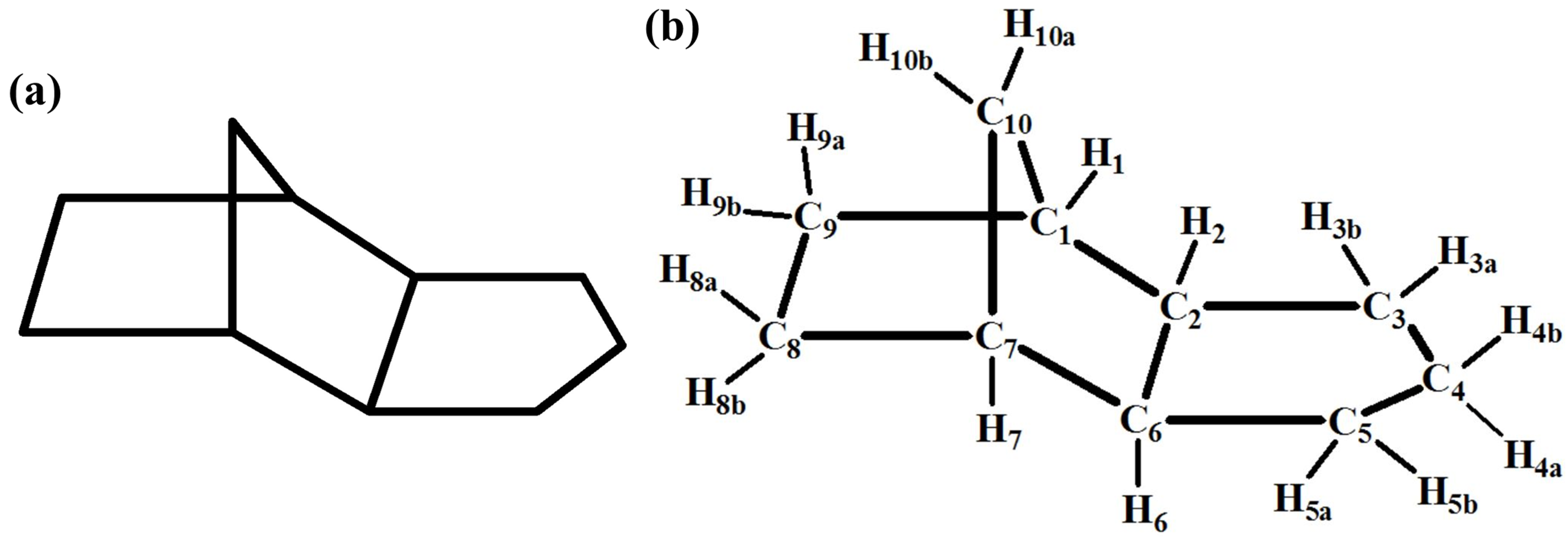 Coatings 08 00355 g004
