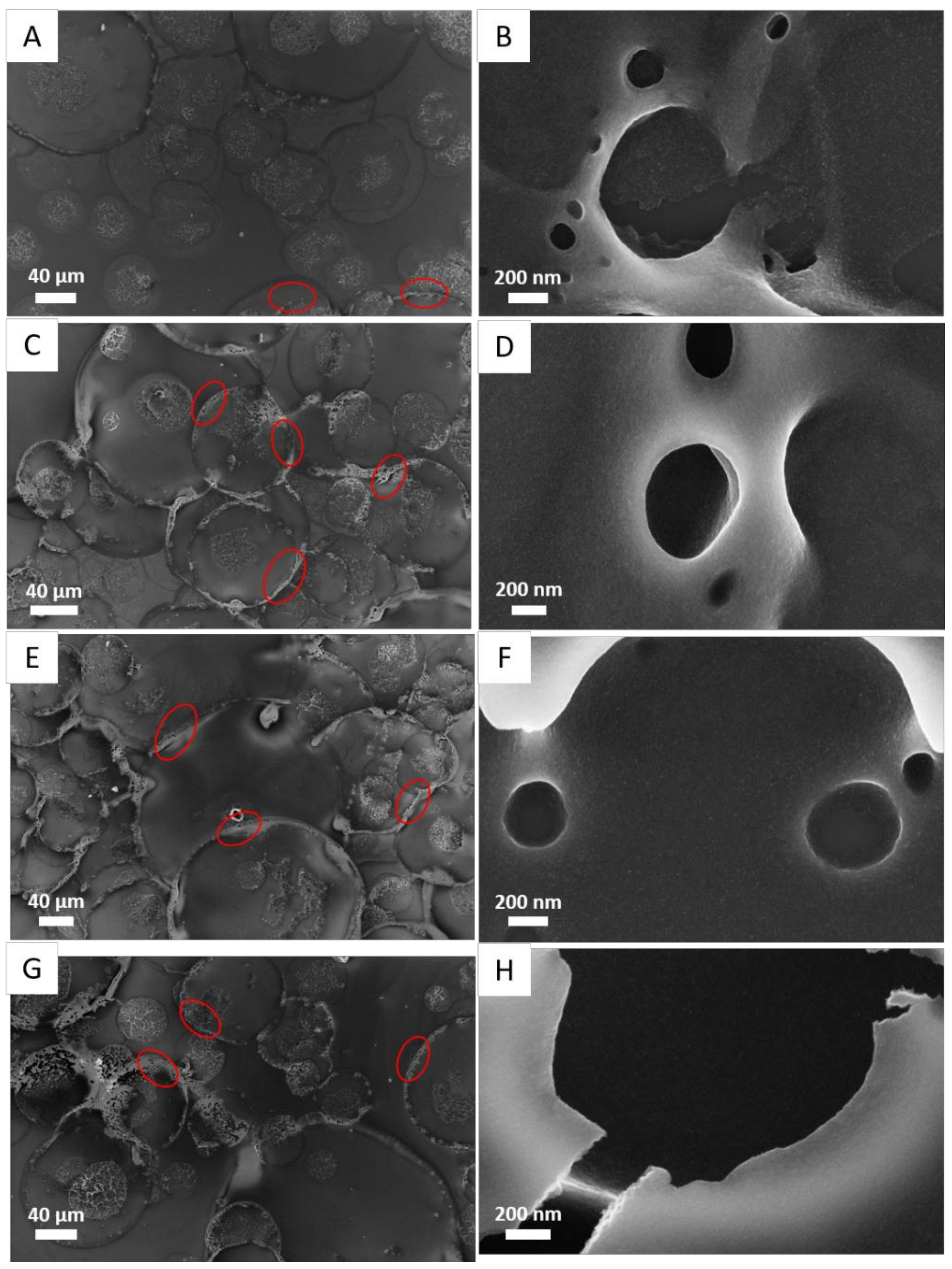Coatings 08 00356 g004 Coatings 08 00356 g004