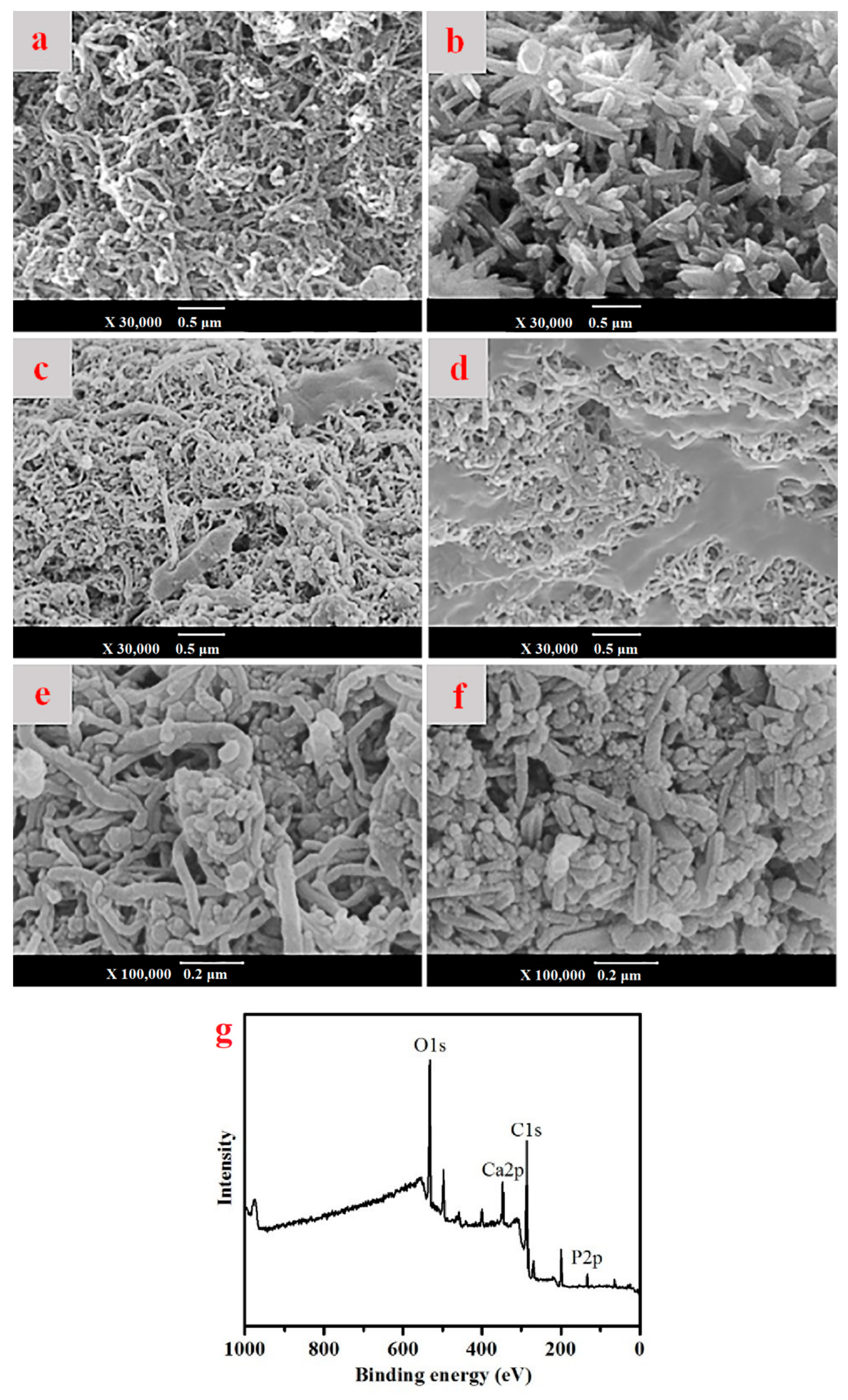 Coatings 08 00357 g003