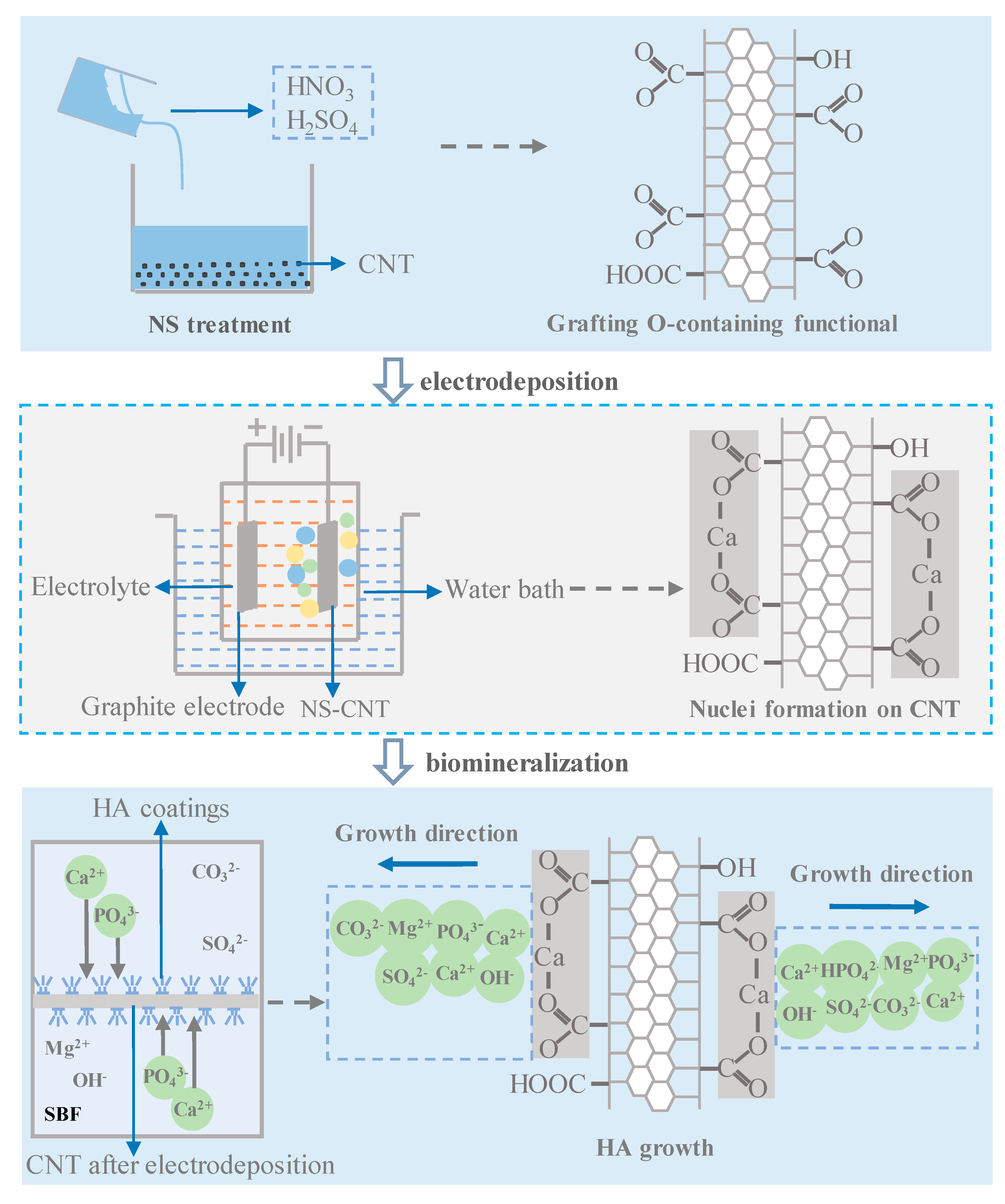 Coatings 08 00357 g004