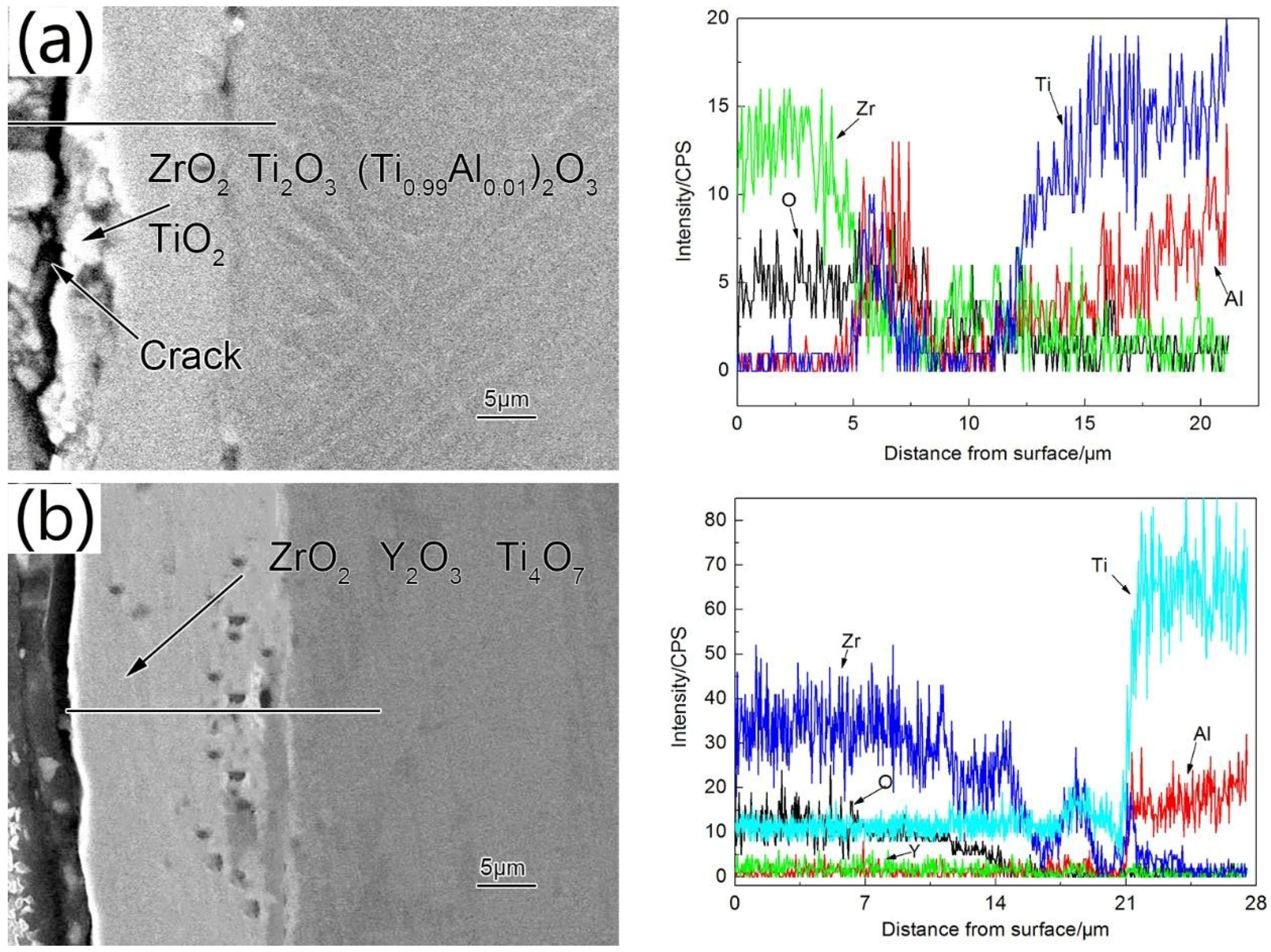 Coatings 08 00361 g010