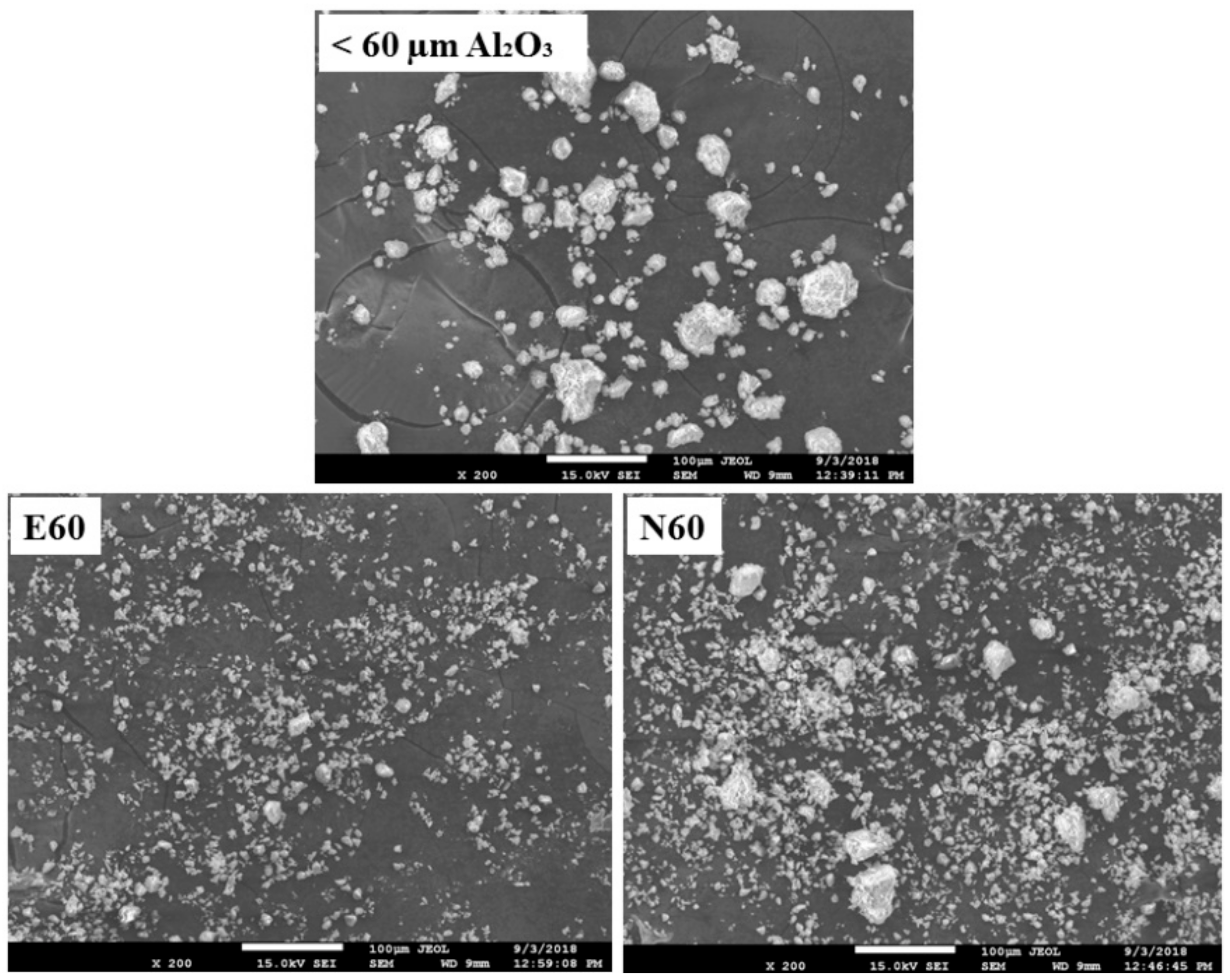 Coatings 08 00363 g002