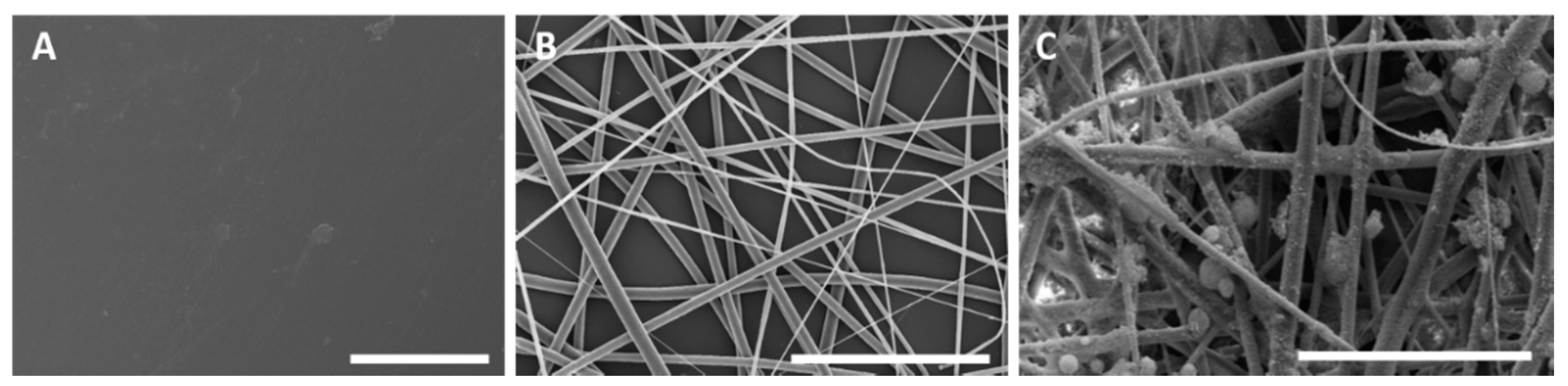 Coatings 08 00364 g002 Coatings 08 00364 g002