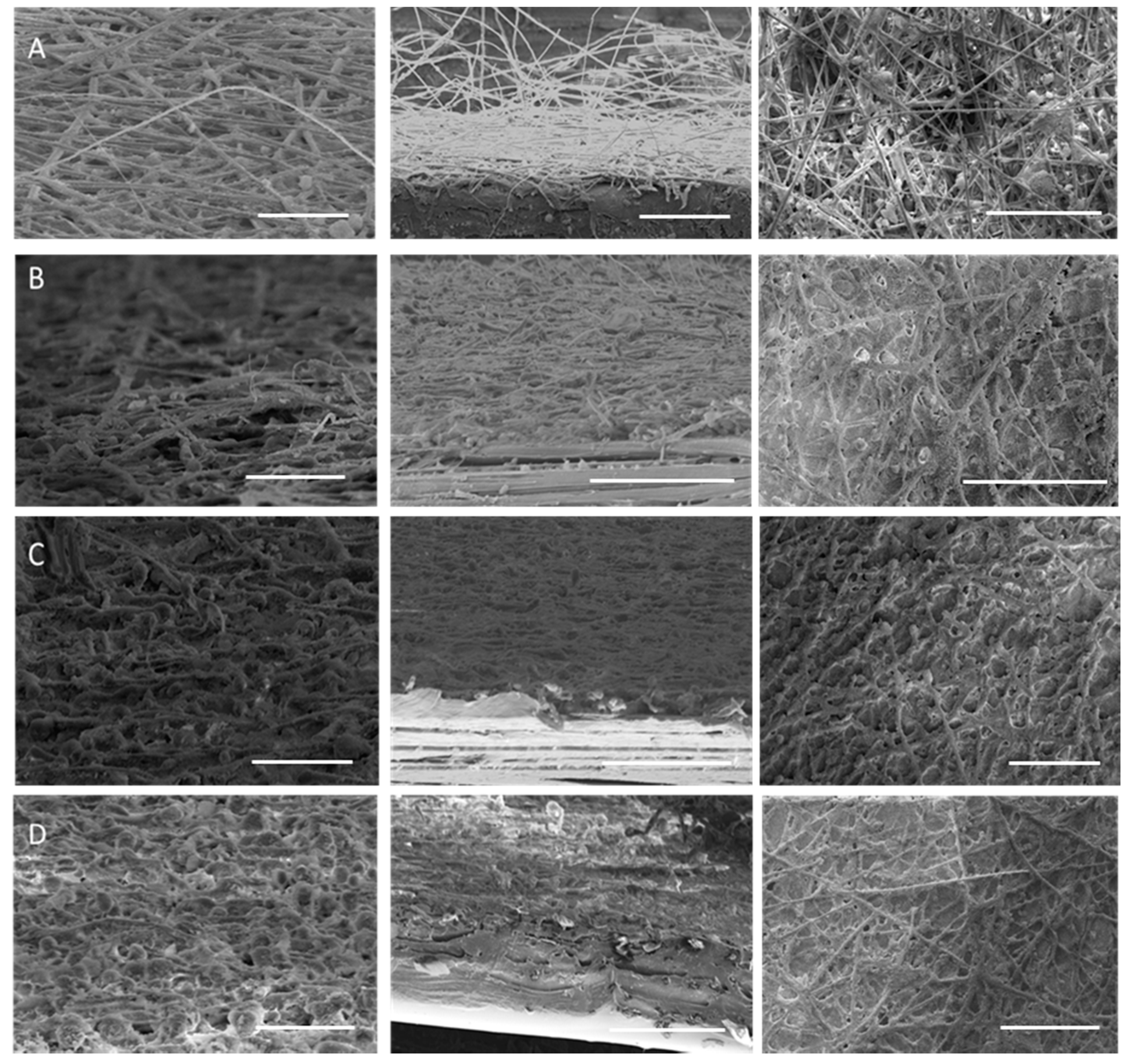 Coatings 08 00364 g007 Coatings 08 00364 g007