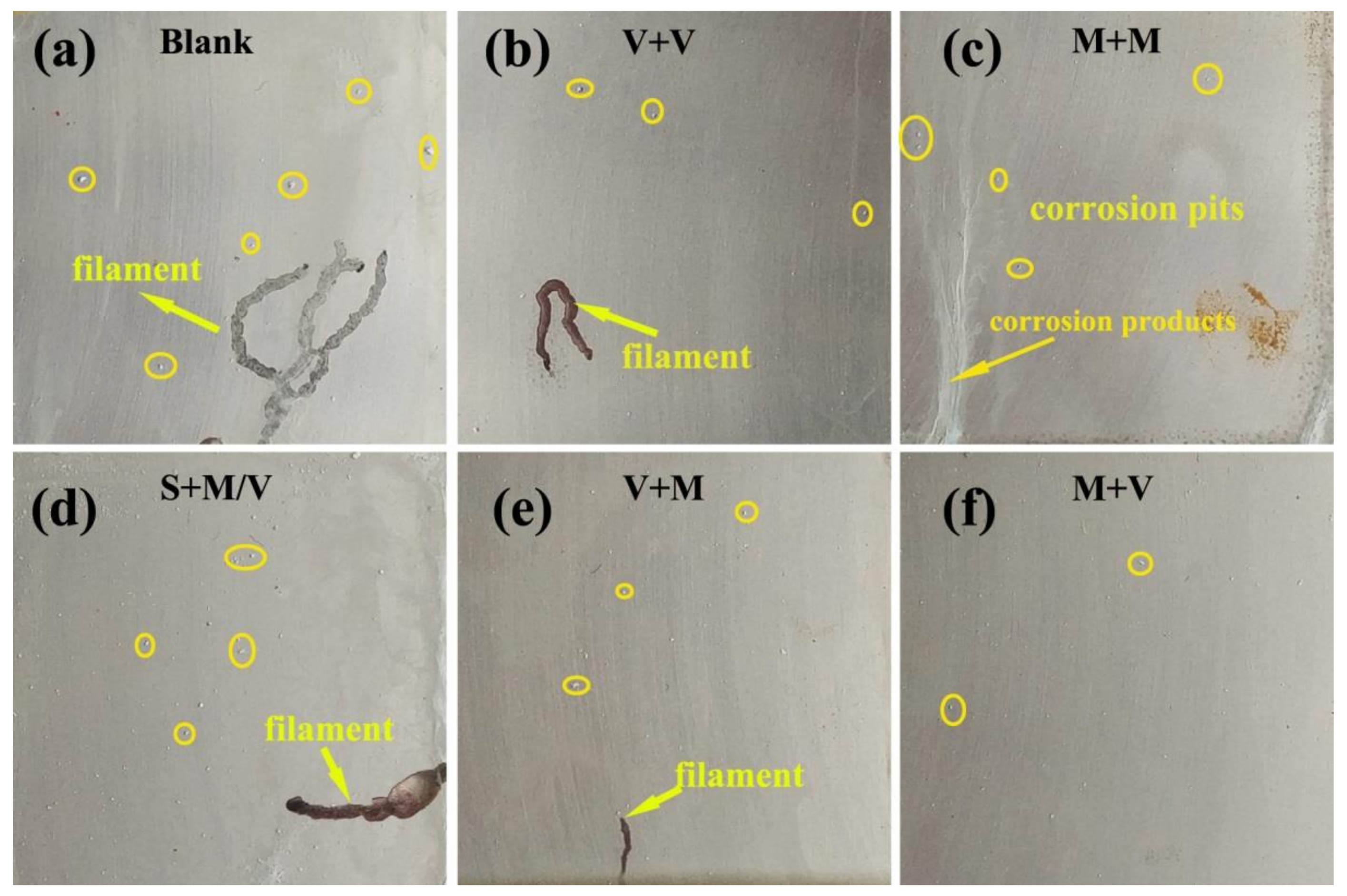 Coatings 08 00365 g008
