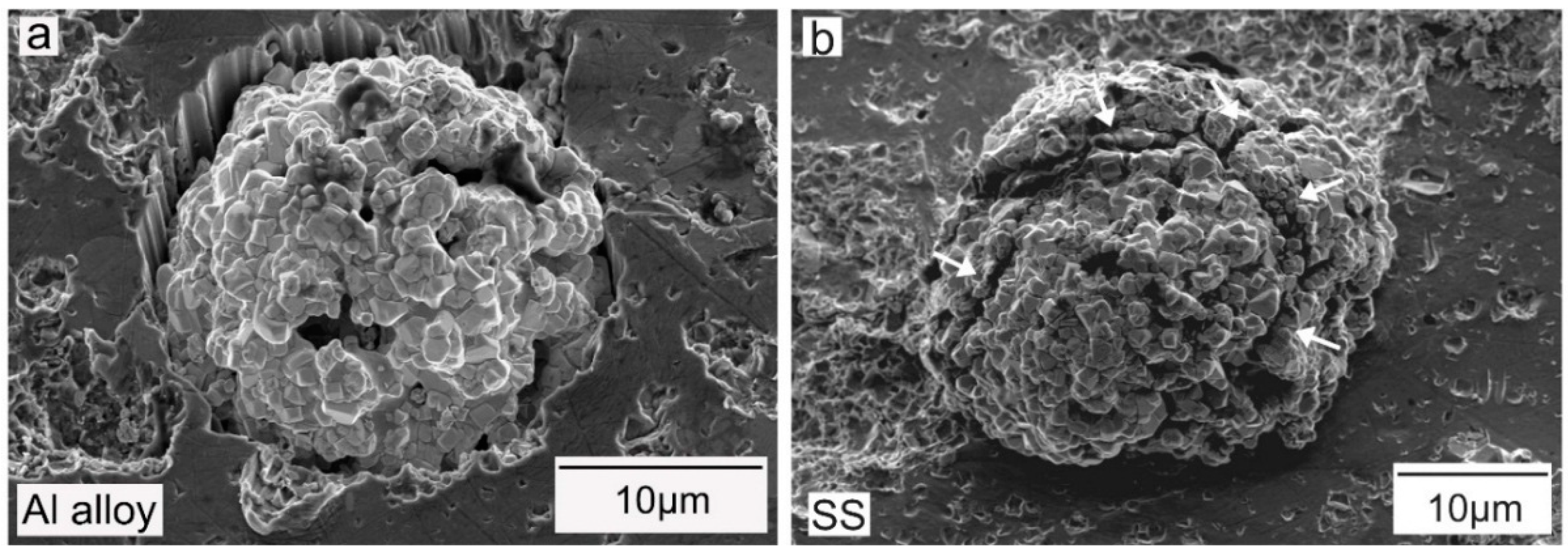 Coatings 08 00367 g003 Coatings 08 00367 g003