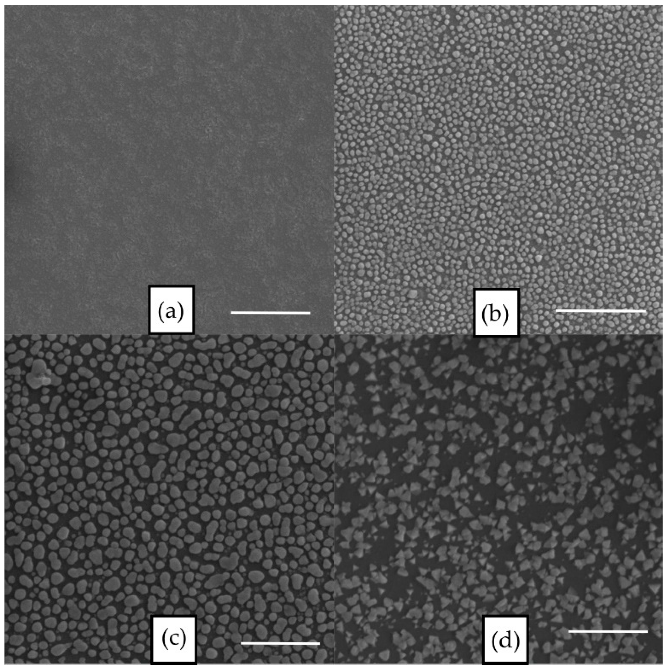 Coatings 08 00369 g001