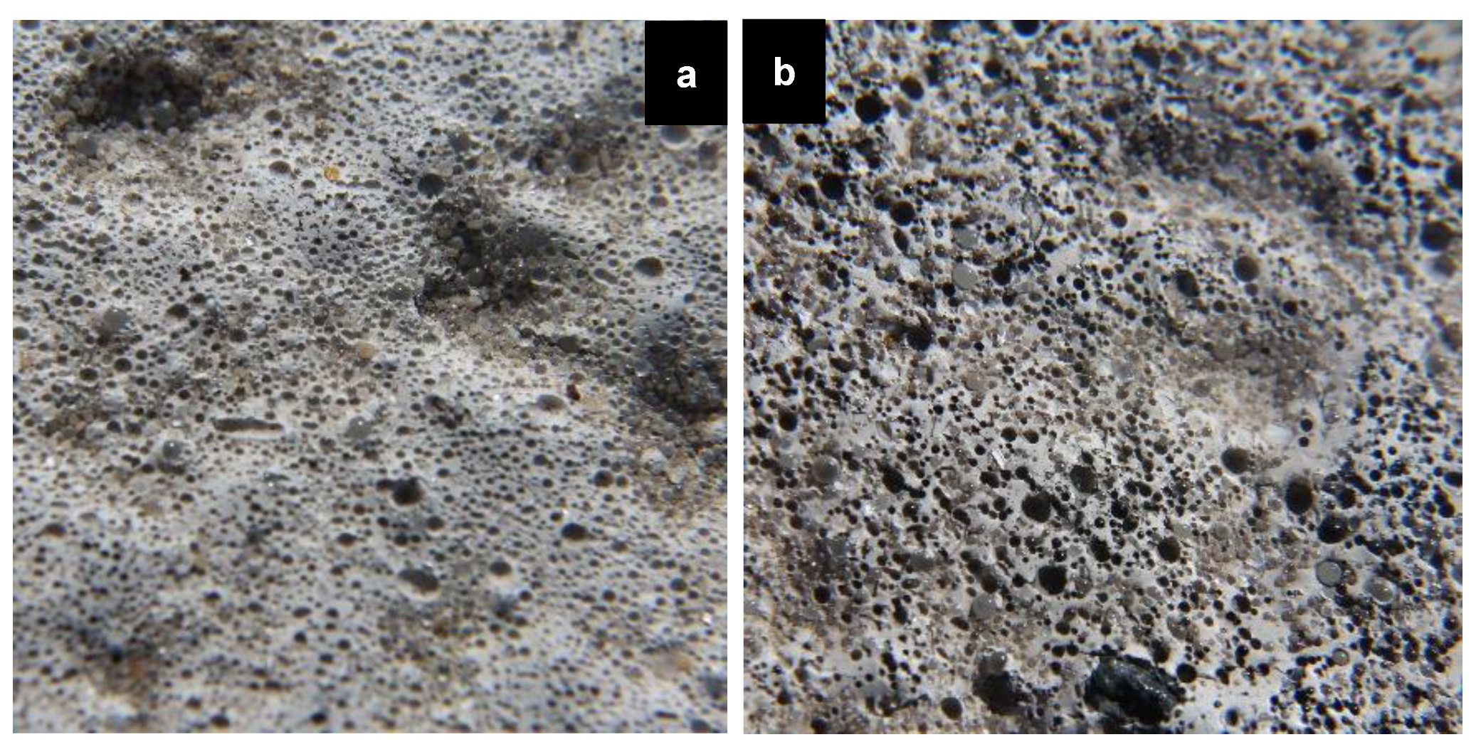 Coatings 08 00371 g009