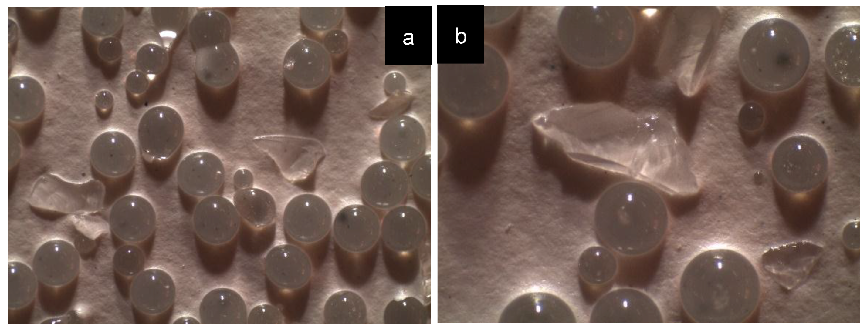 Coatings 08 00371 g012