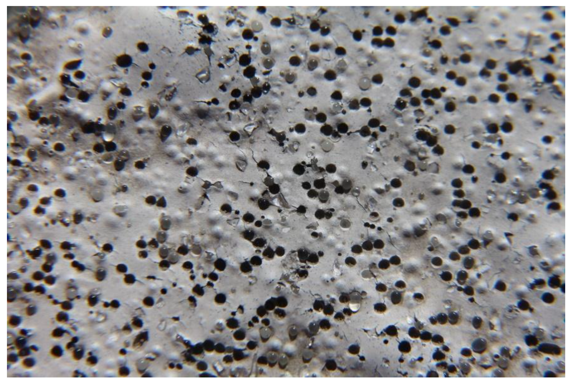 Coatings 08 00371 g013