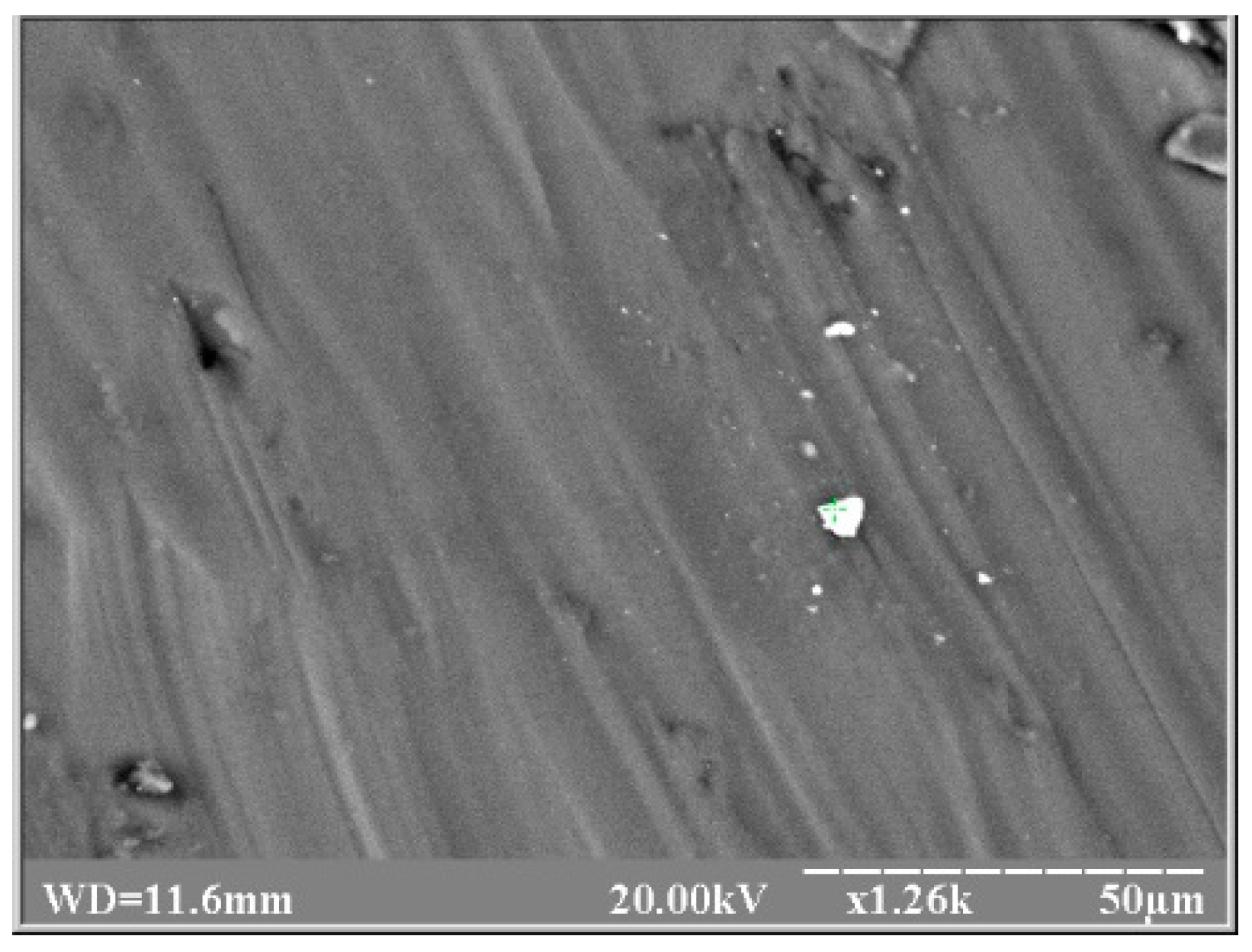 Coatings 08 00375 g001