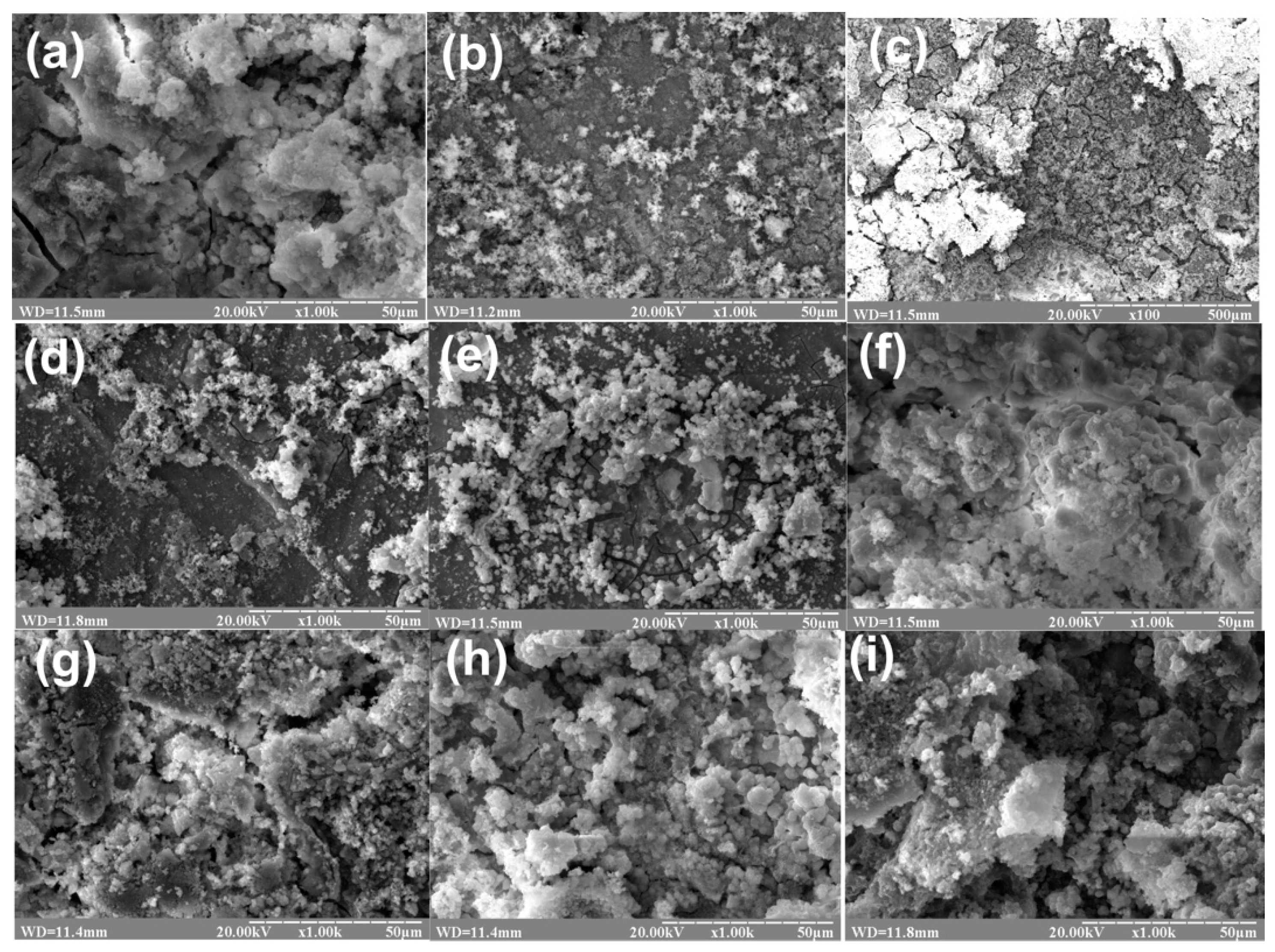 Coatings 08 00375 g002