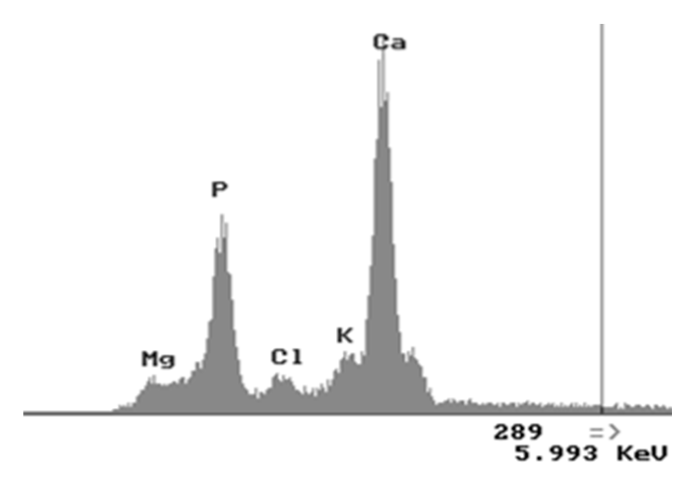 Coatings 08 00375 g003