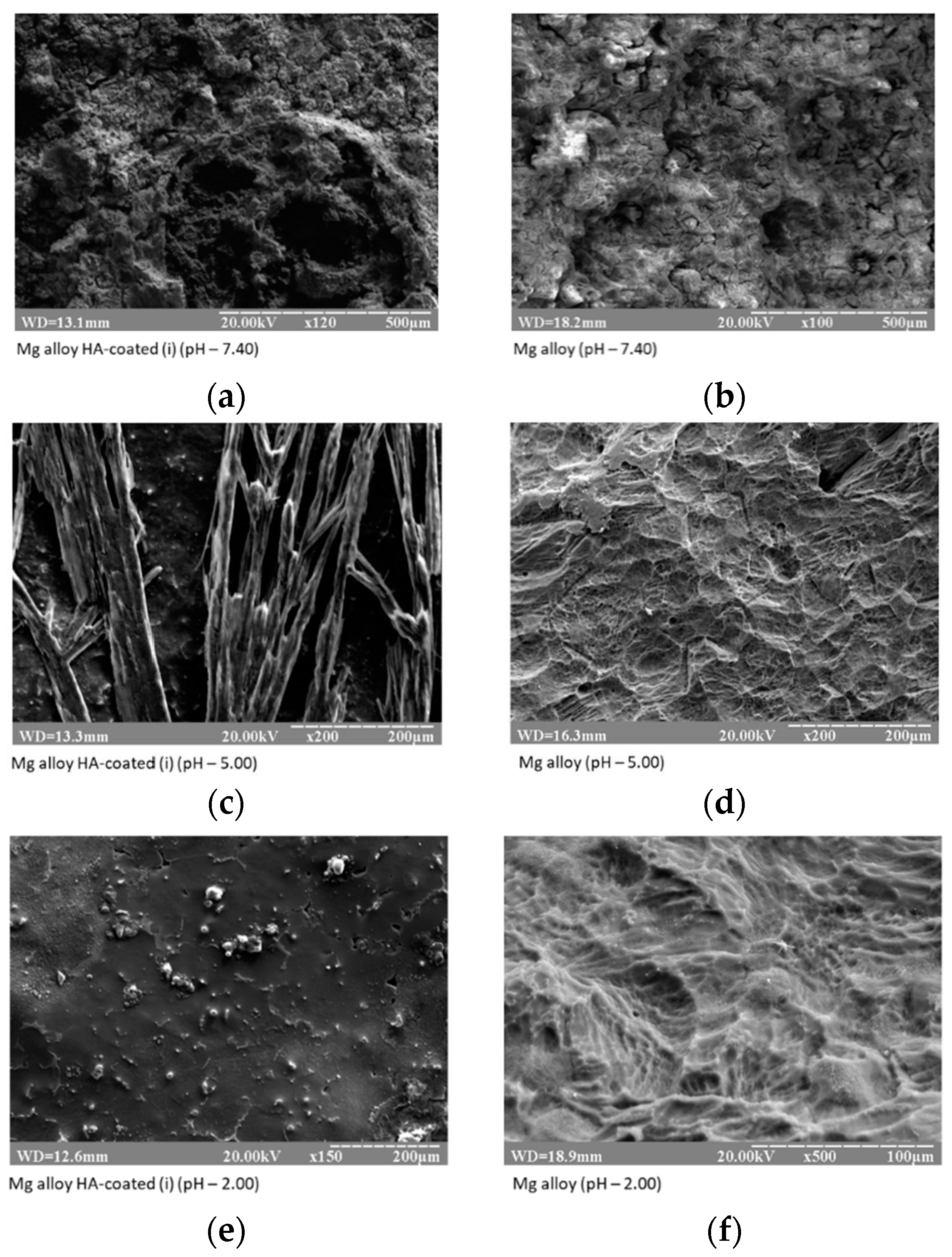 Coatings 08 00375 g005