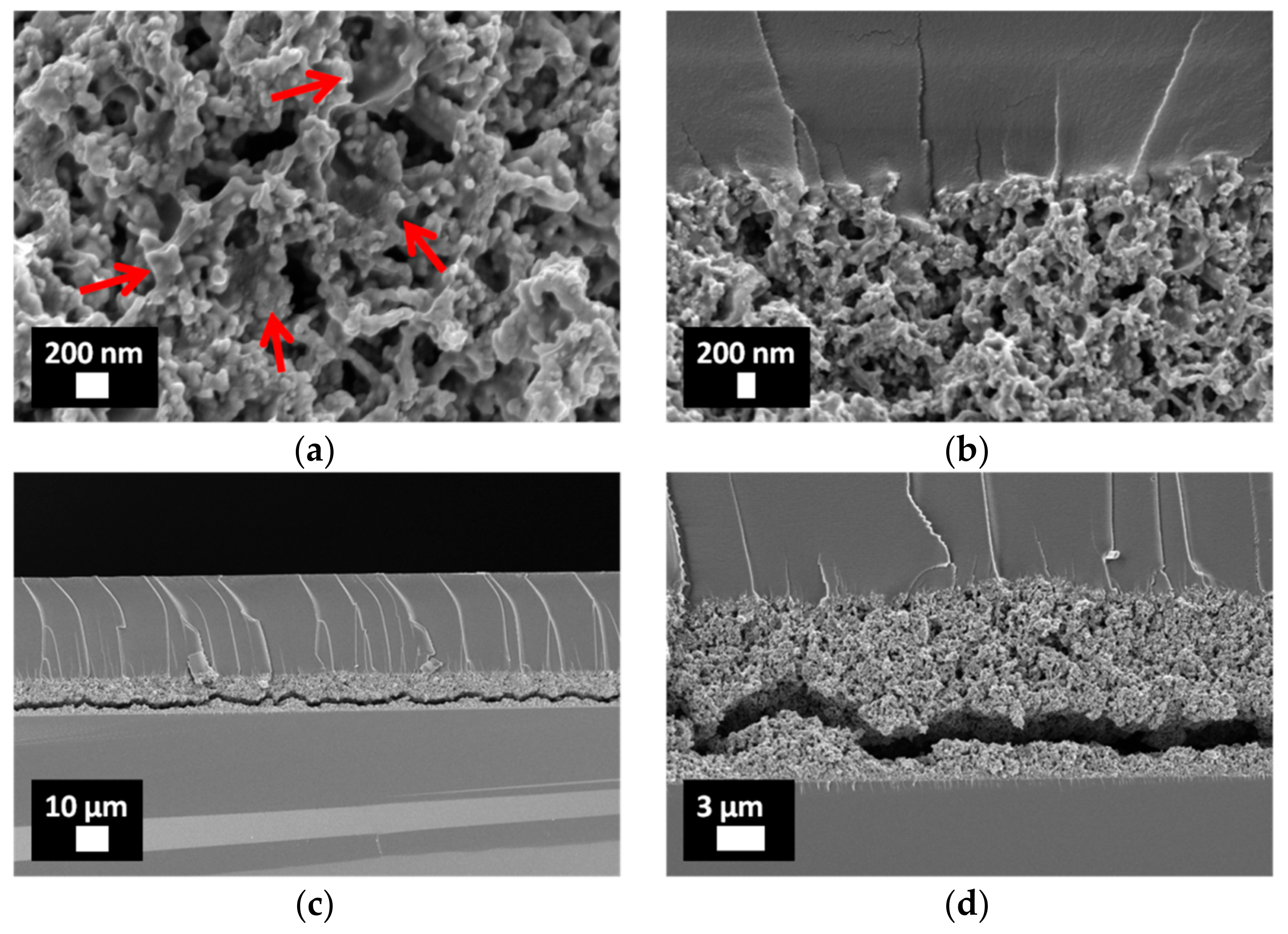 Coatings 08 00376 g004