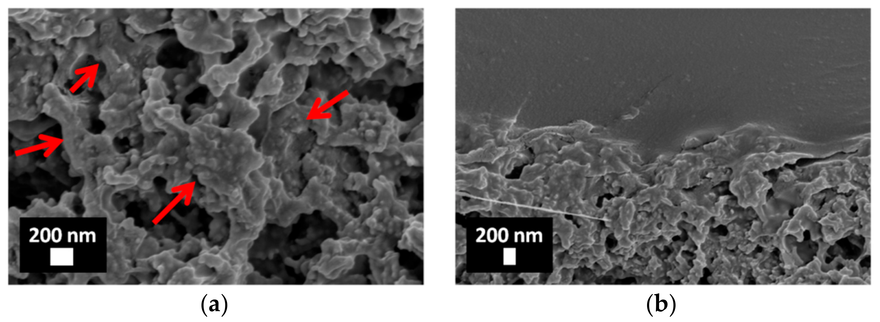 Coatings 08 00376 g005a