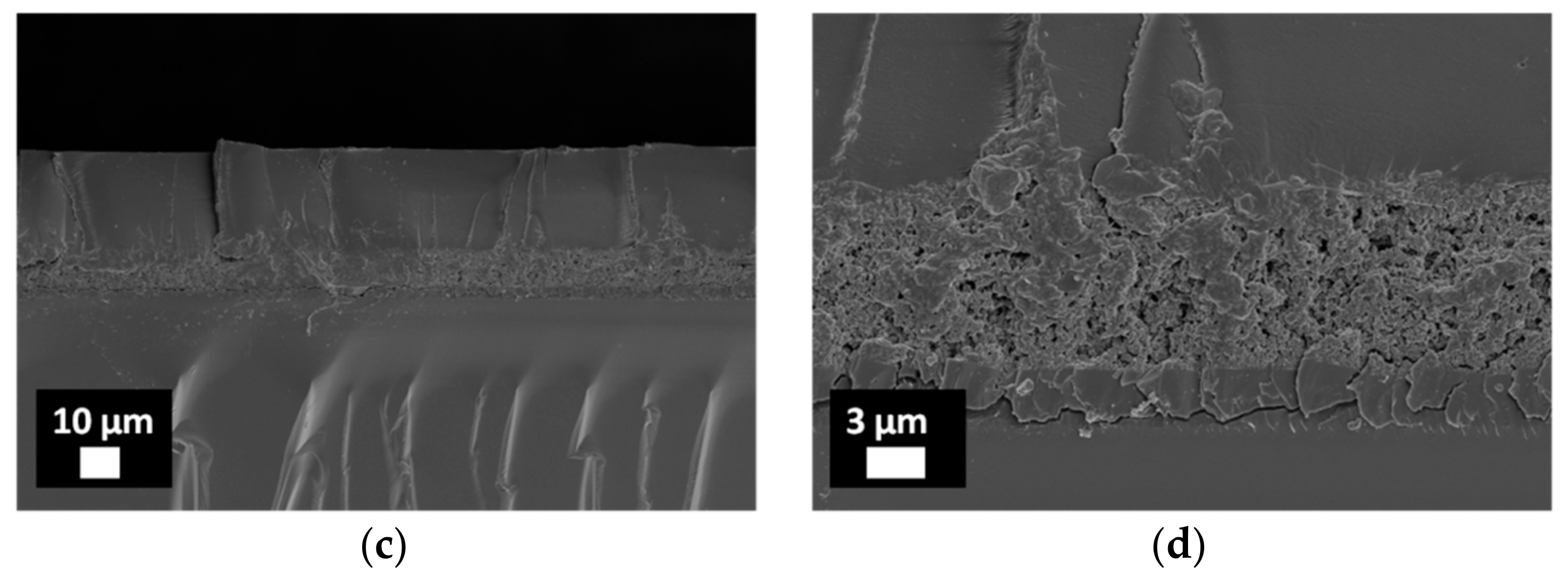 Coatings 08 00376 g005b