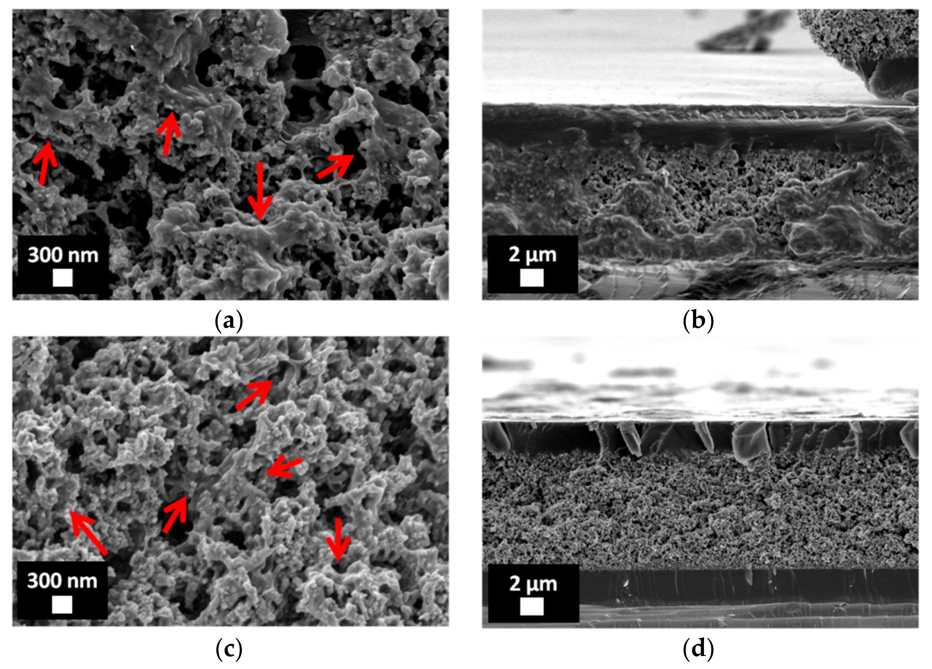 Coatings 08 00376 g006