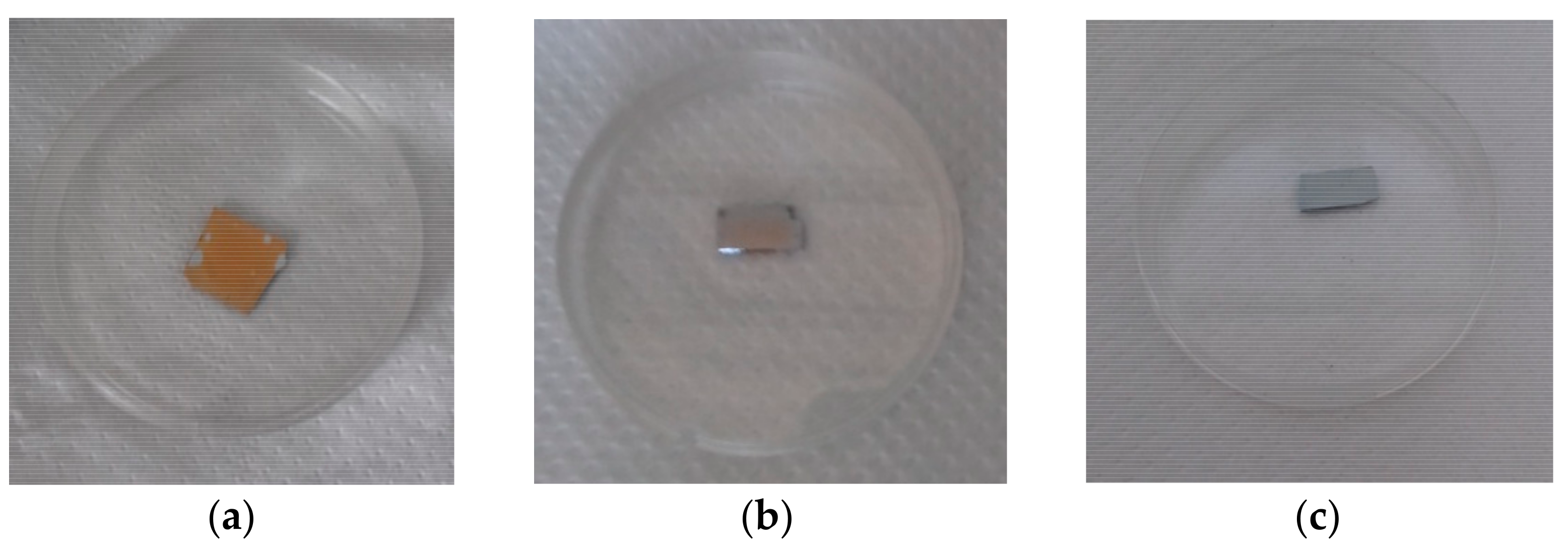 Coatings 08 00376 g007