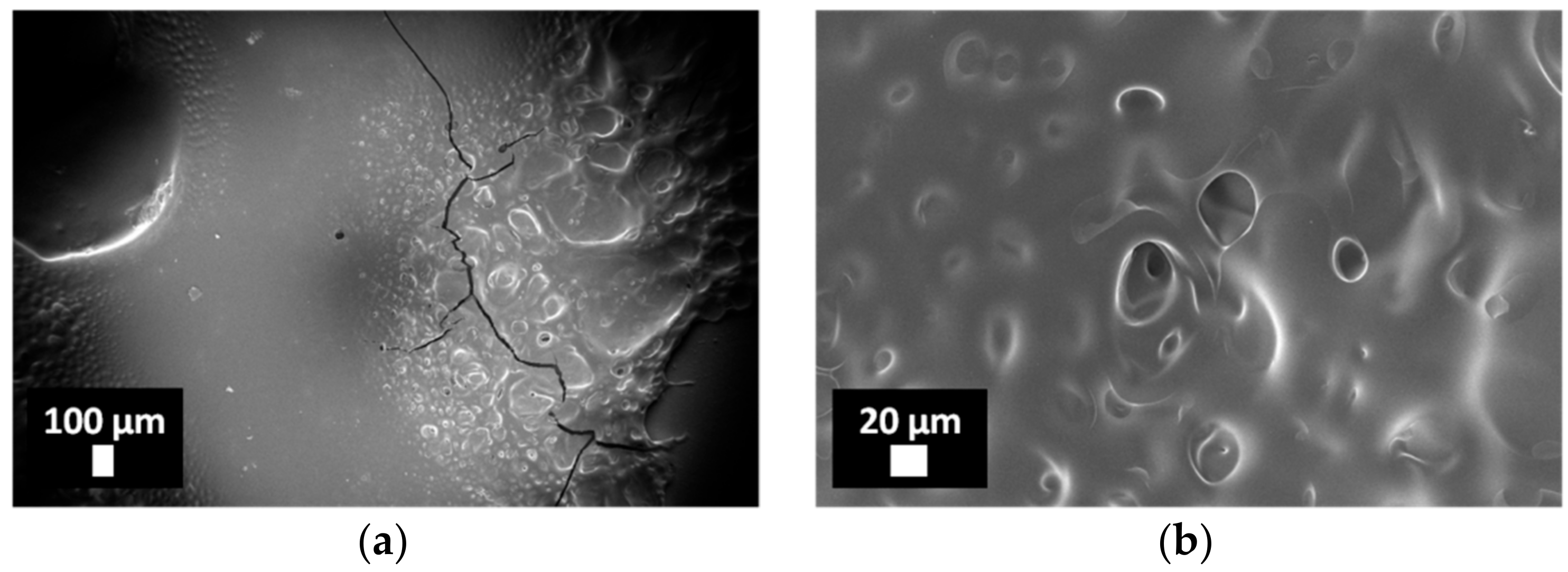 Coatings 08 00376 g009