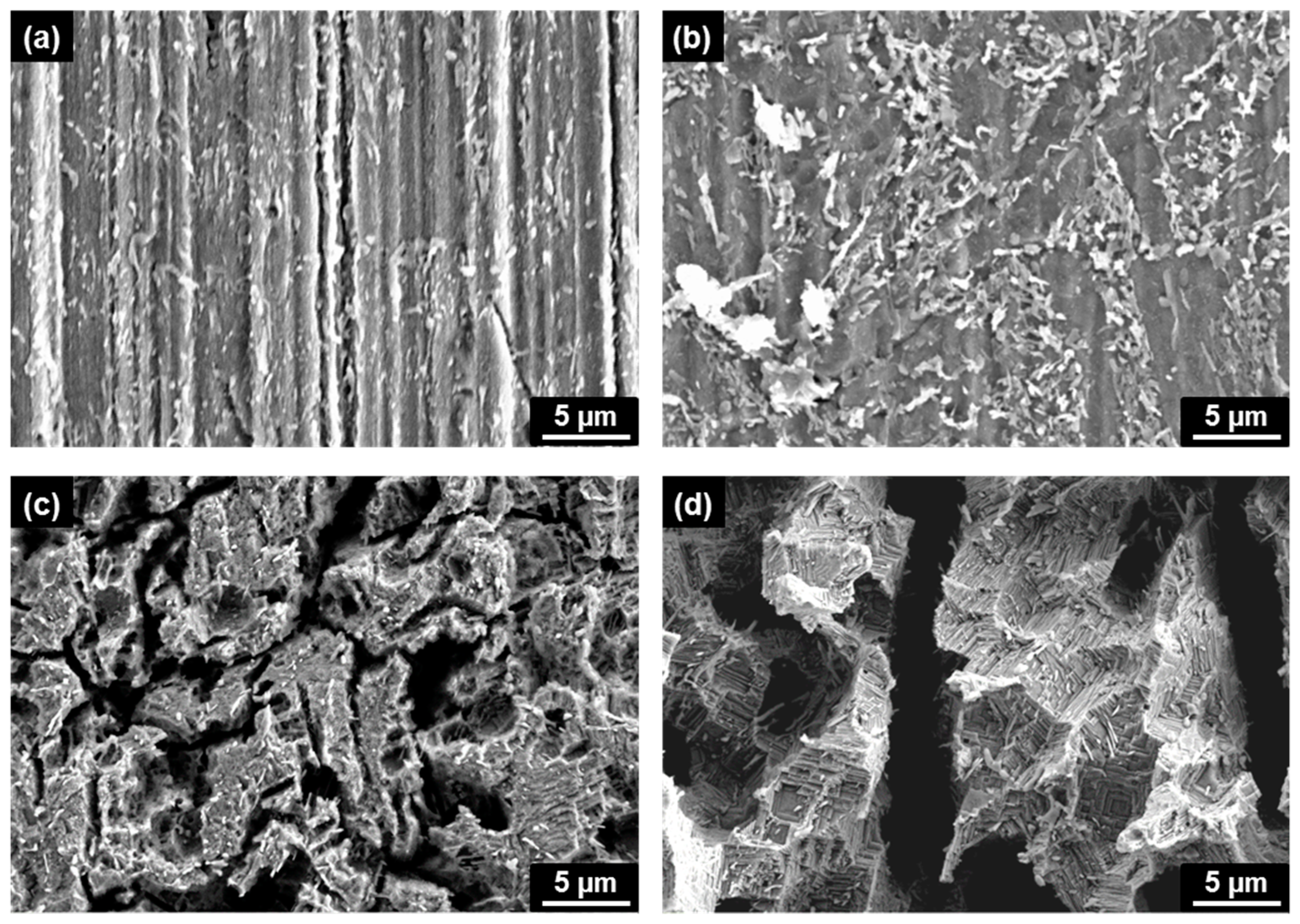 Coatings 08 00377 g010