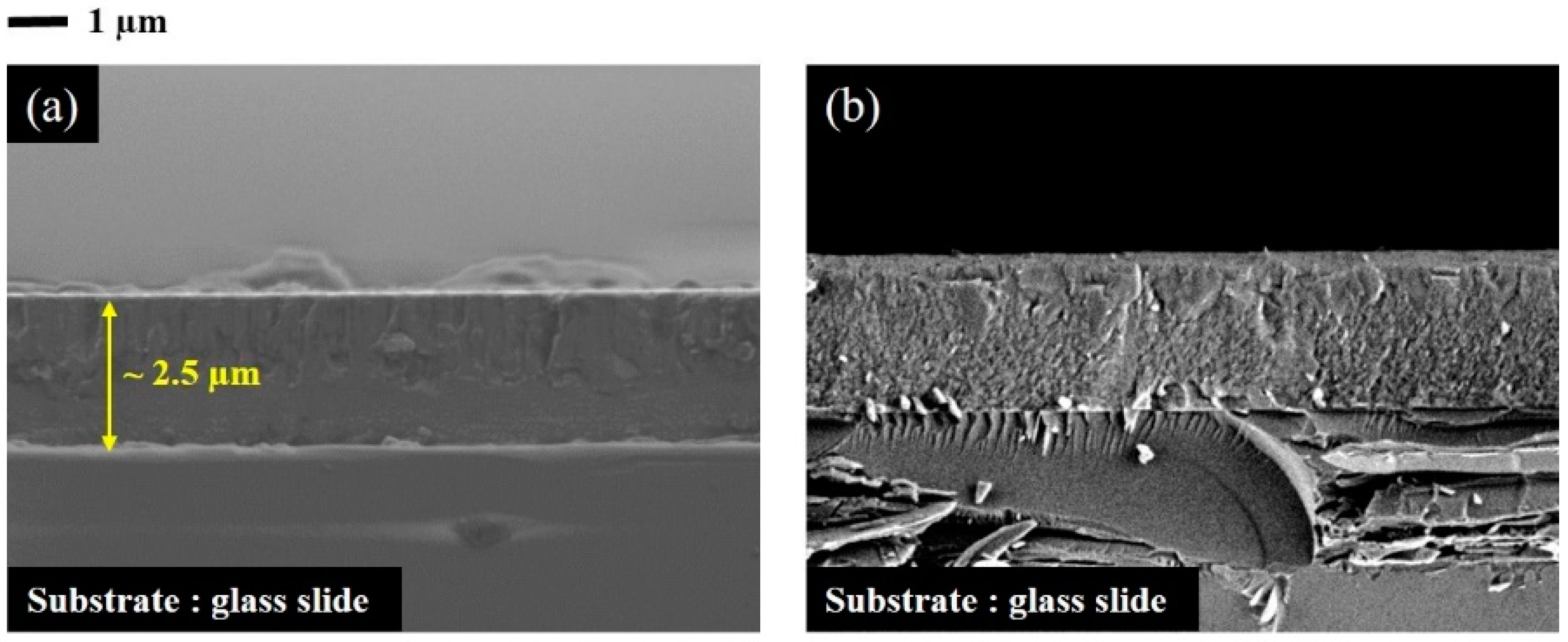Coatings 08 00380 g005