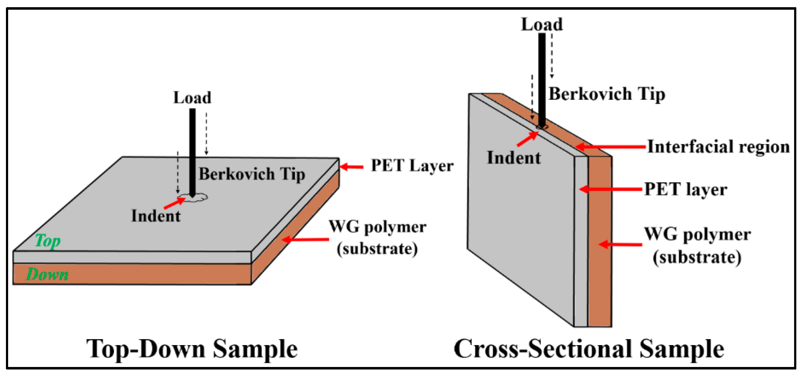 Coatings 08 00388 g001