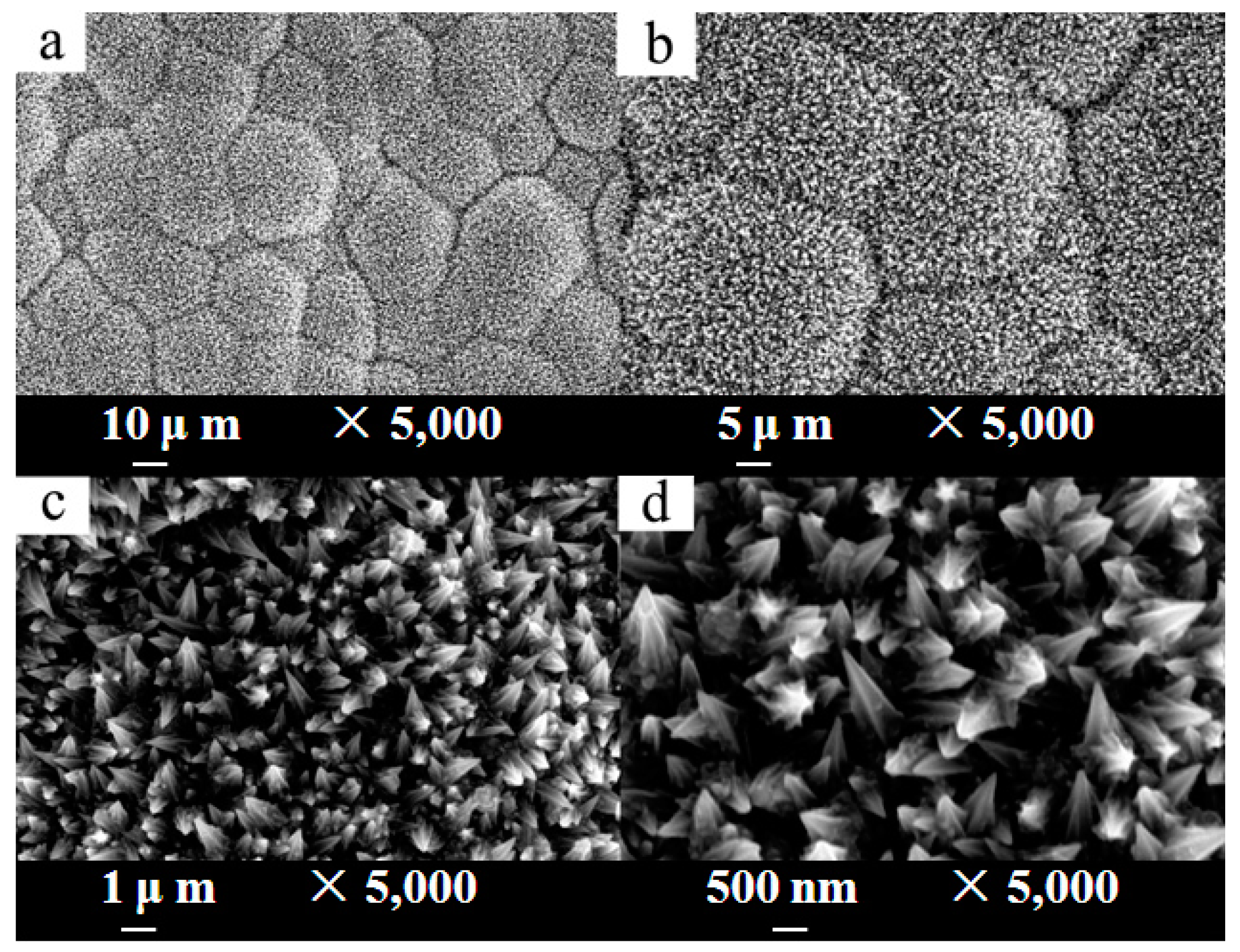 Coatings 08 00390 g003