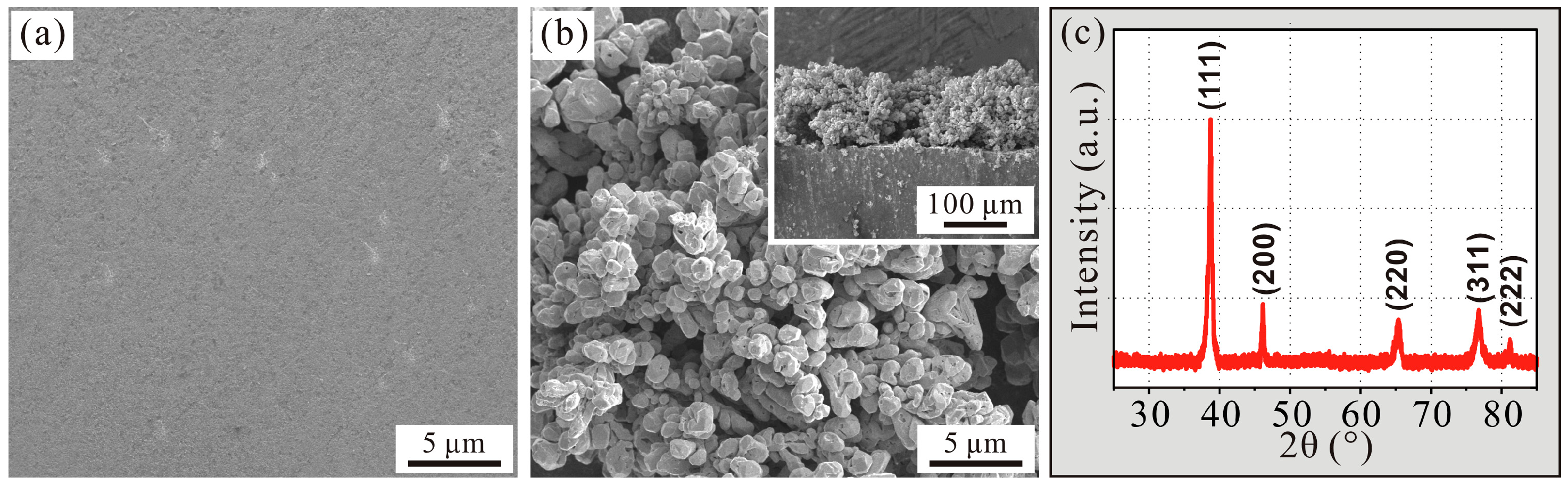 Coatings 08 00392 g001
