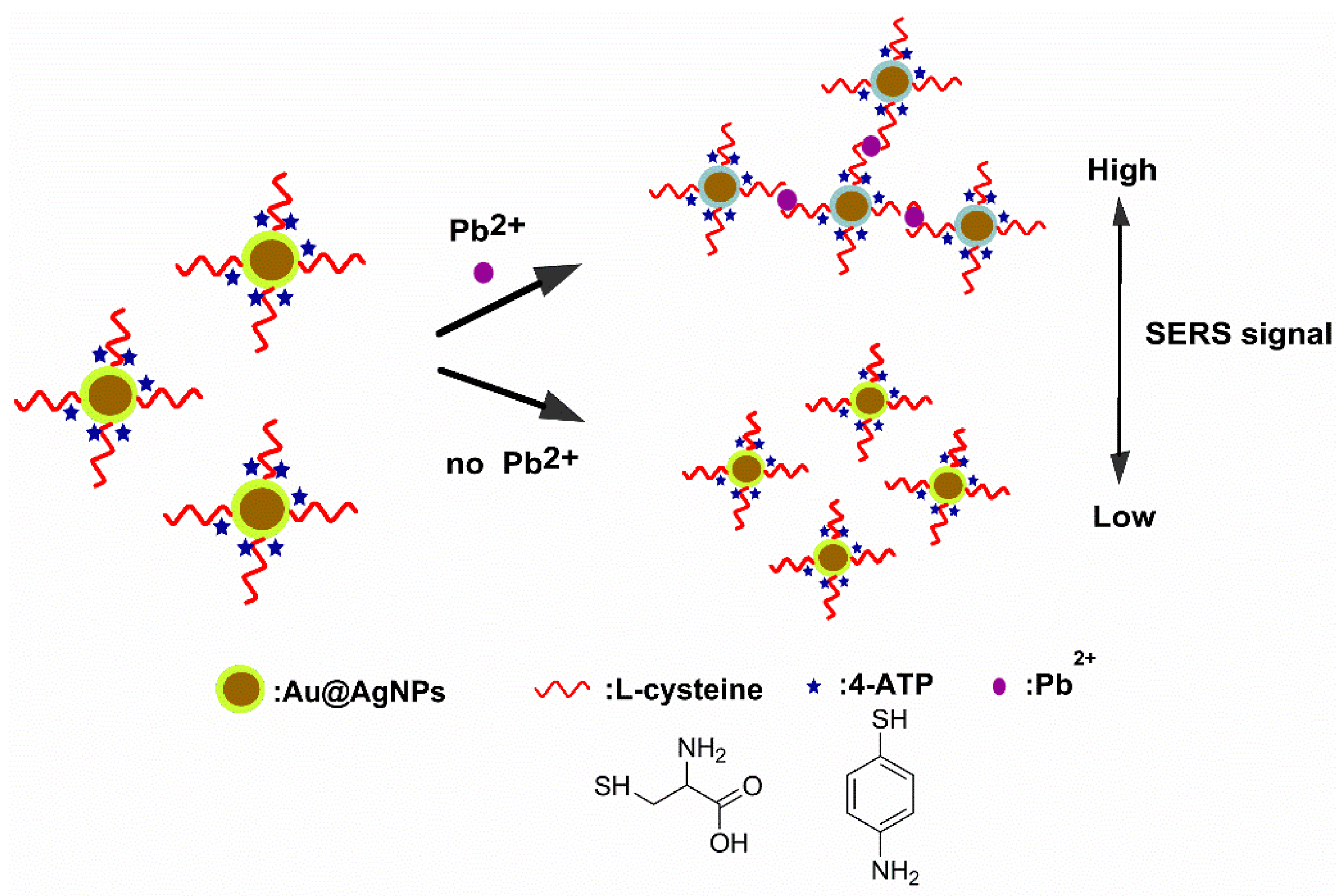 Coatings 08 00394 sch001 Coatings 08 00394 sch001