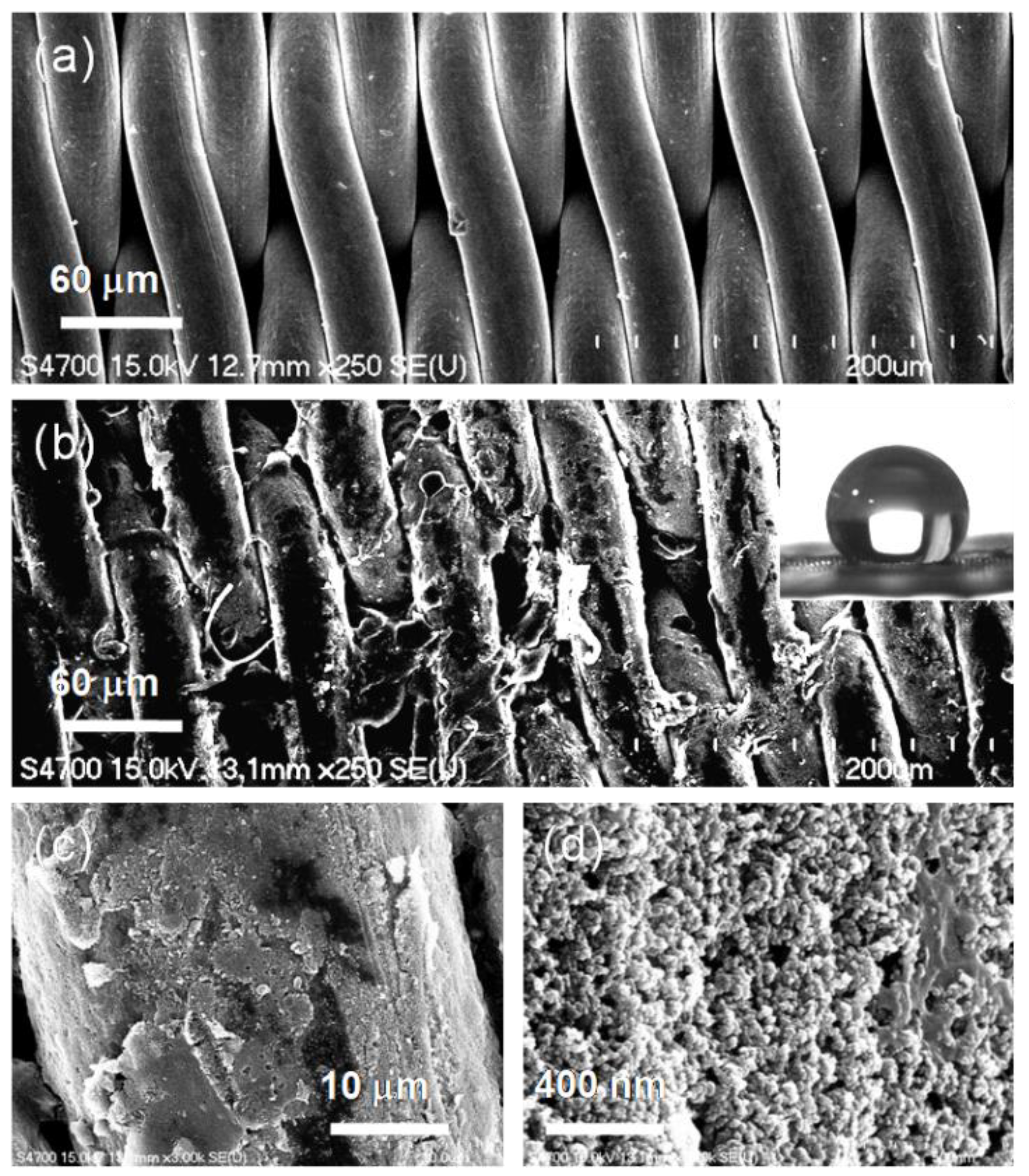 Coatings 08 00396 g004