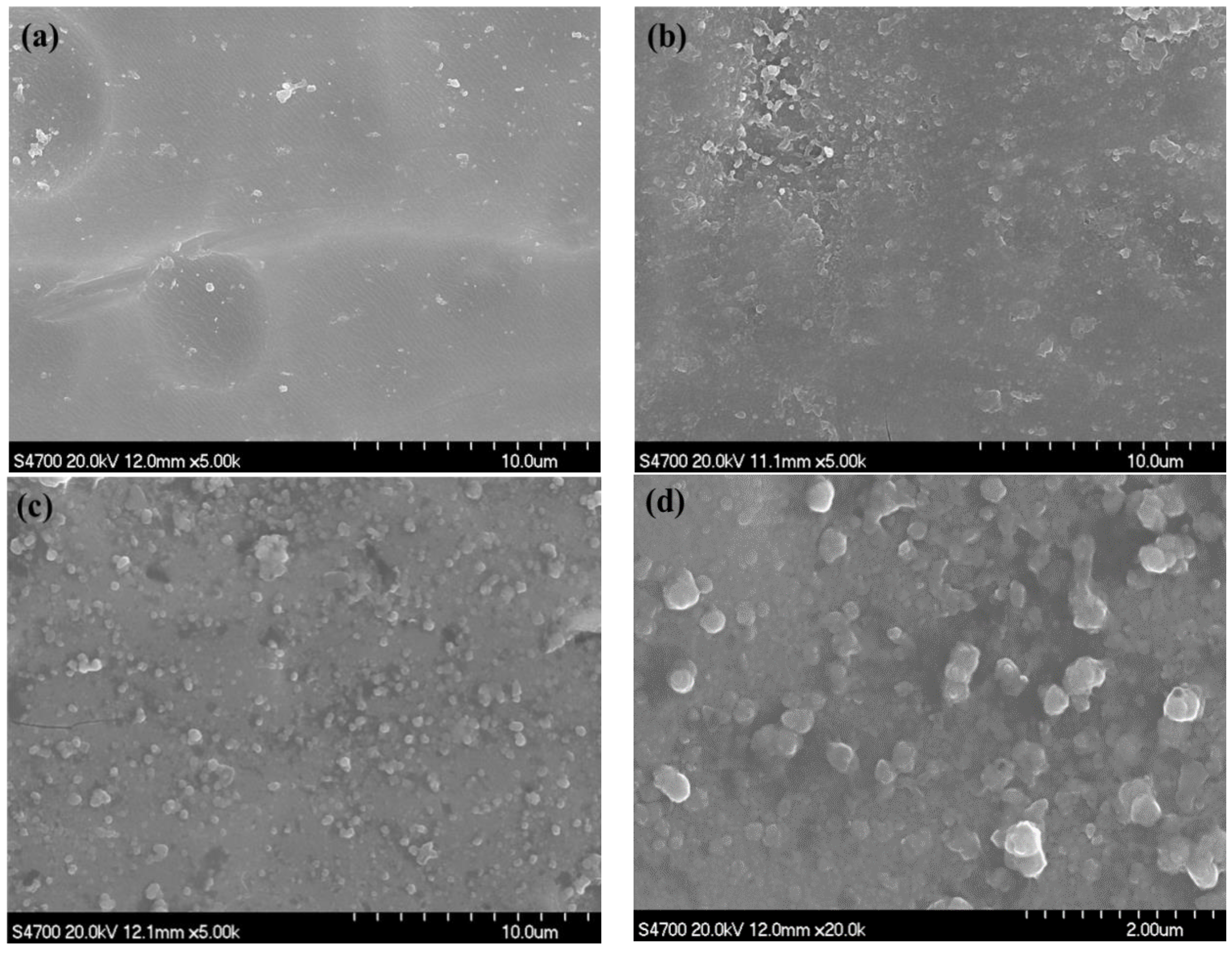 Coatings 08 00397 g001 Coatings 08 00397 g001