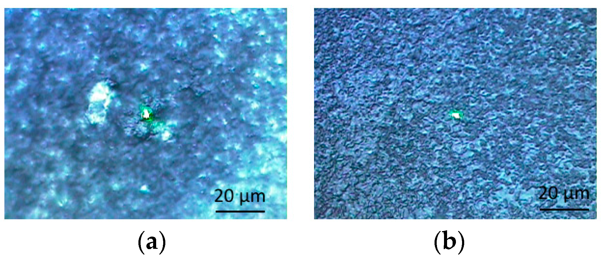 Coatings 08 00398 g004 Coatings 08 00398 g004