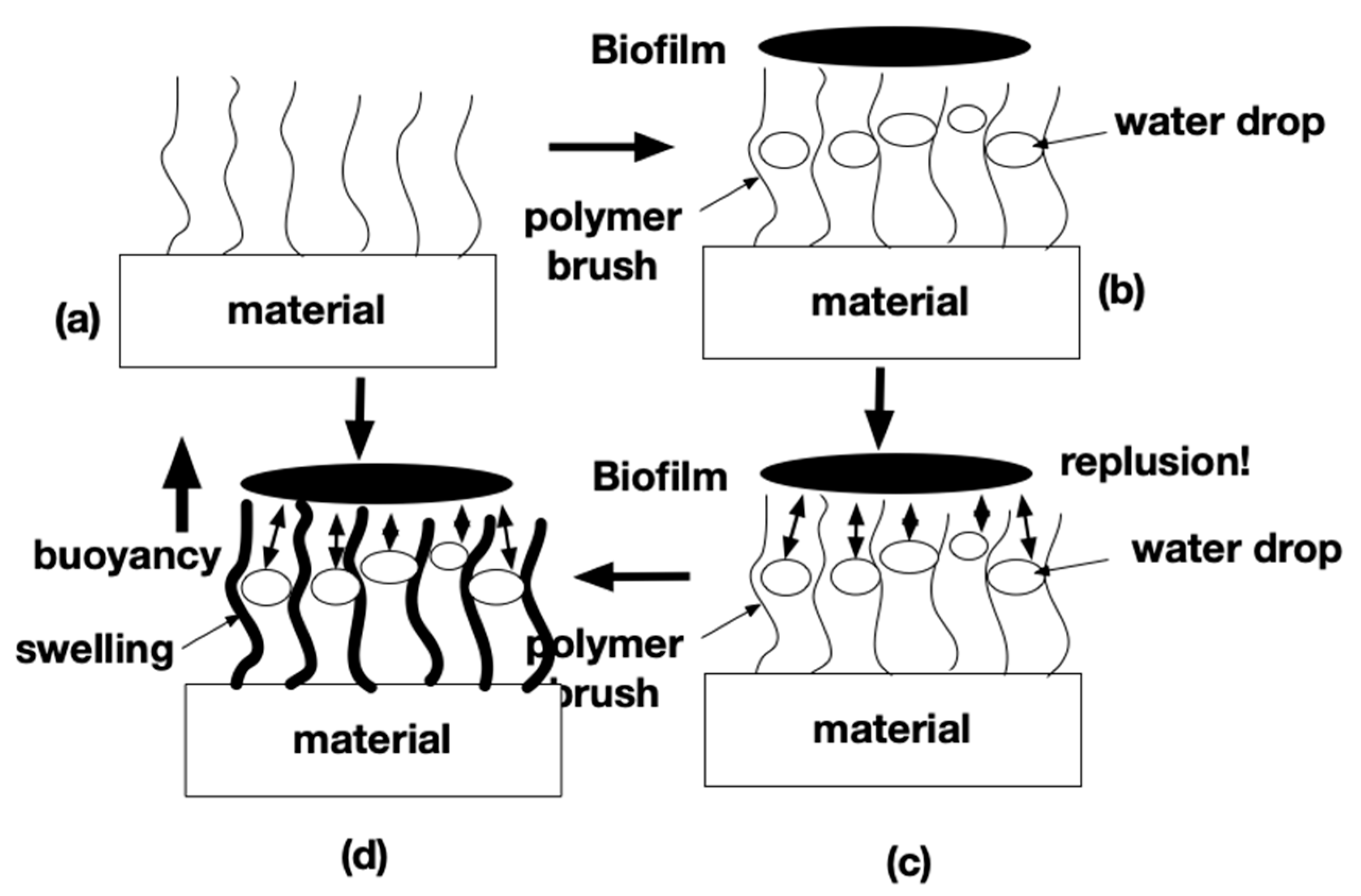 Coatings 08 00398 g009 Coatings 08 00398 g009