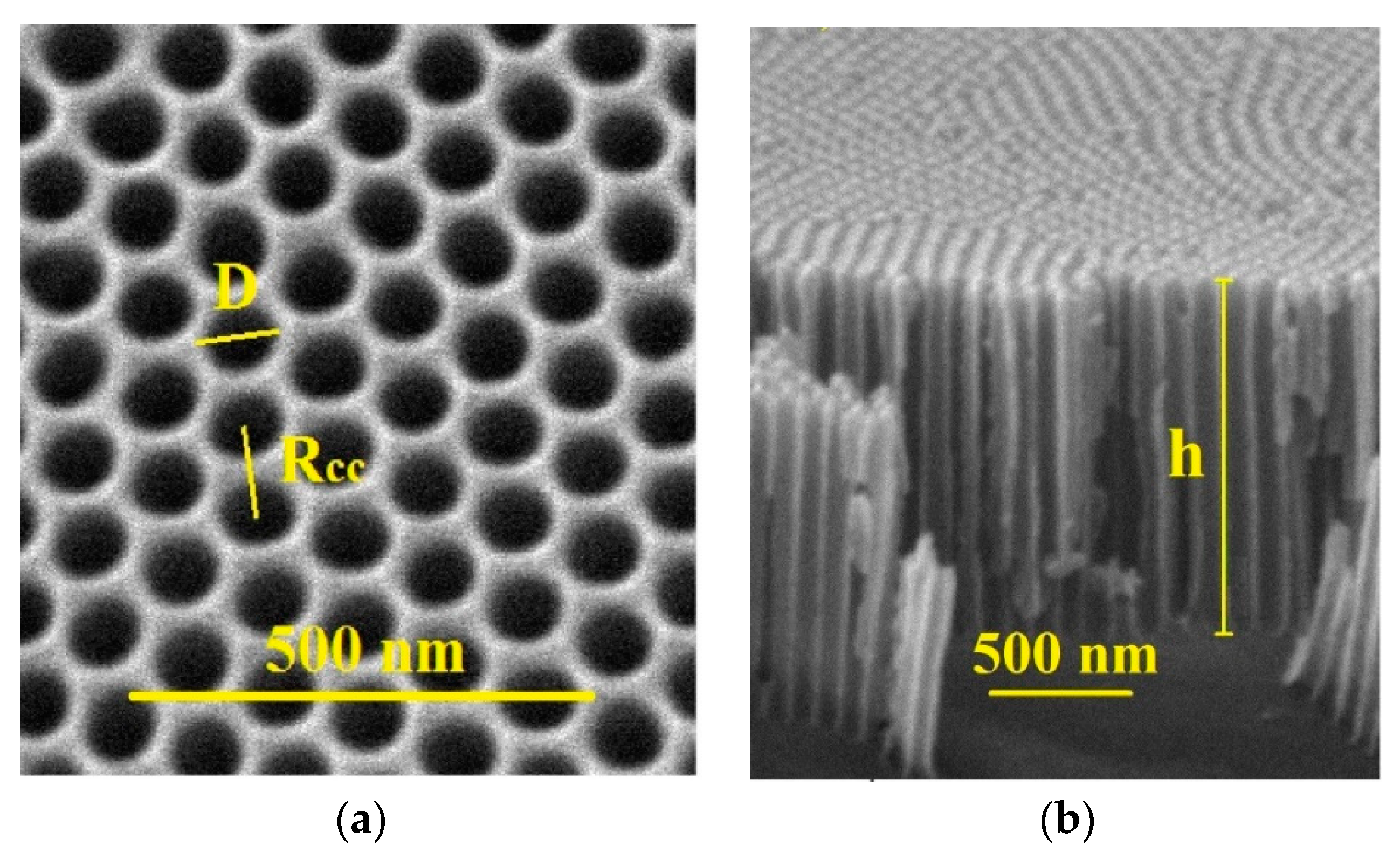 Coatings 08 00403 g001