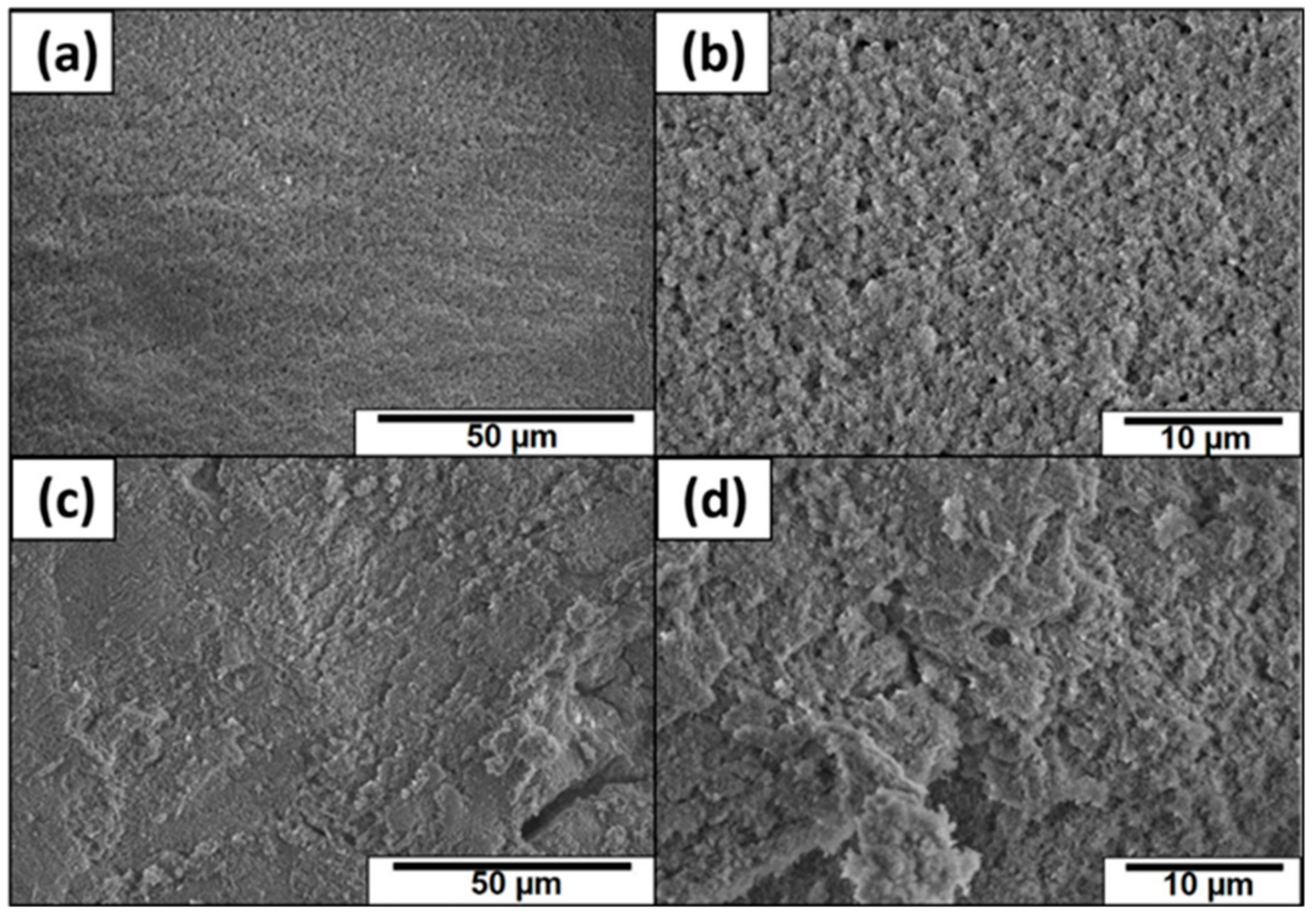 Coatings 08 00414 g008