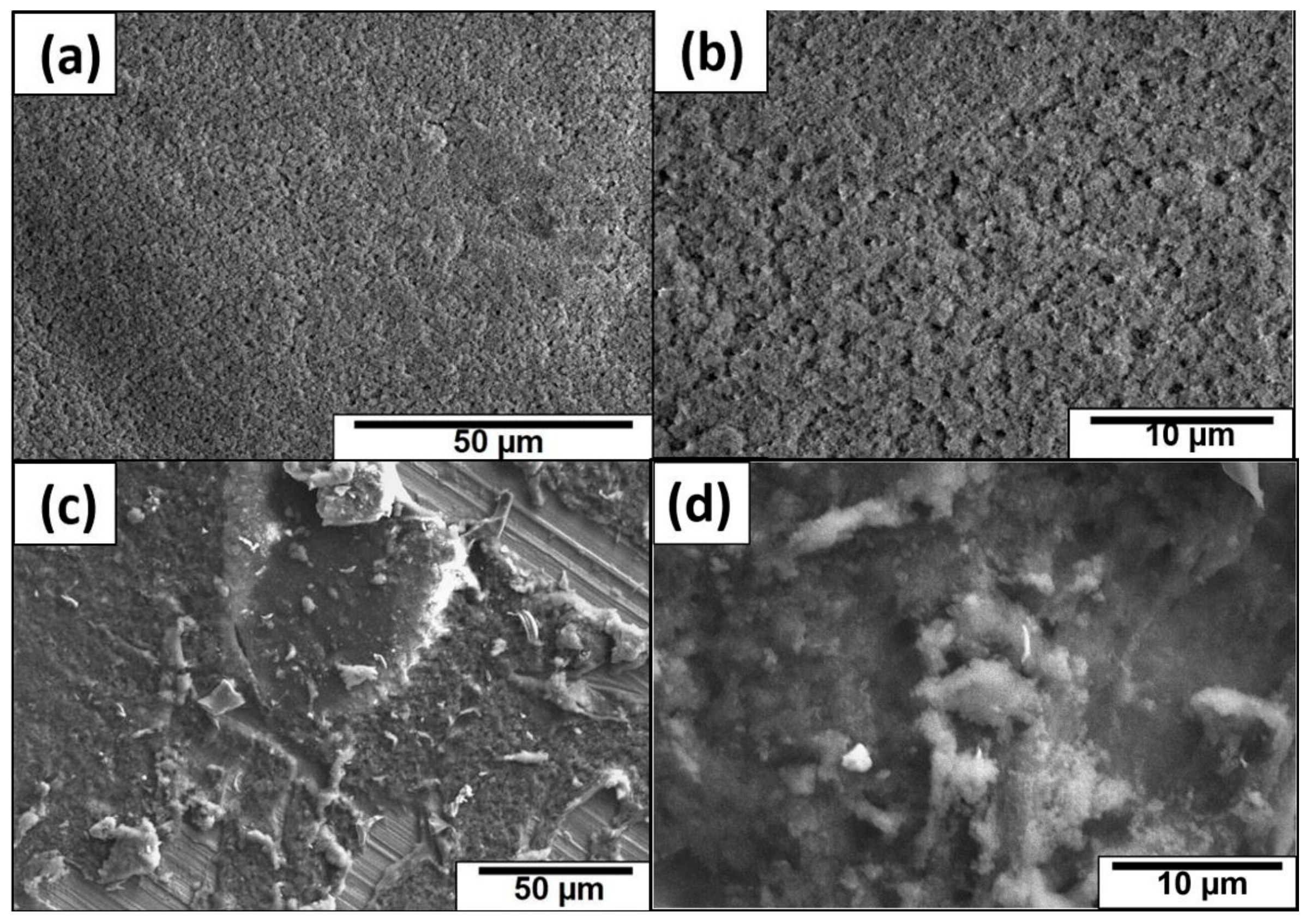 Coatings 08 00414 g009