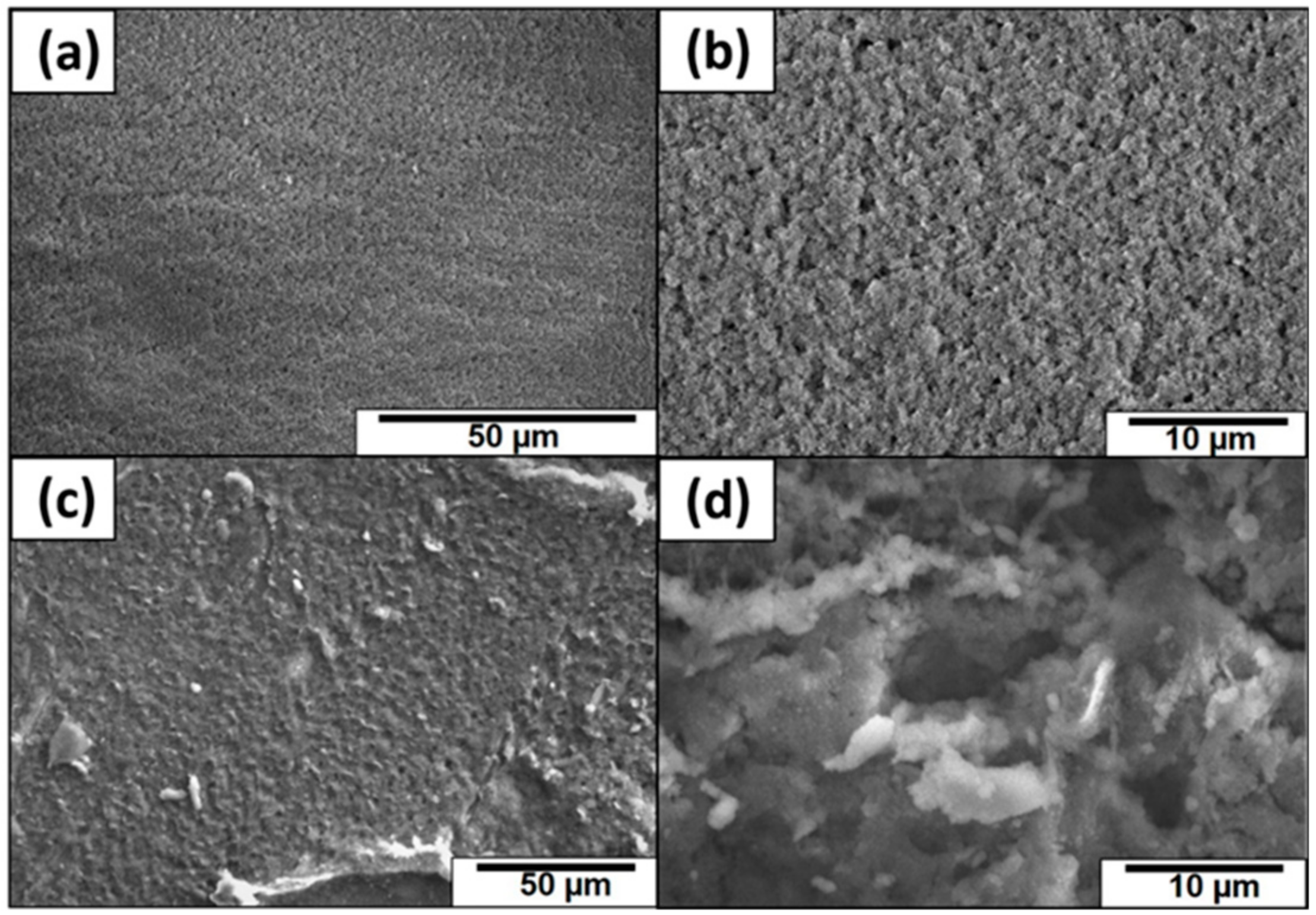 Coatings 08 00414 g012