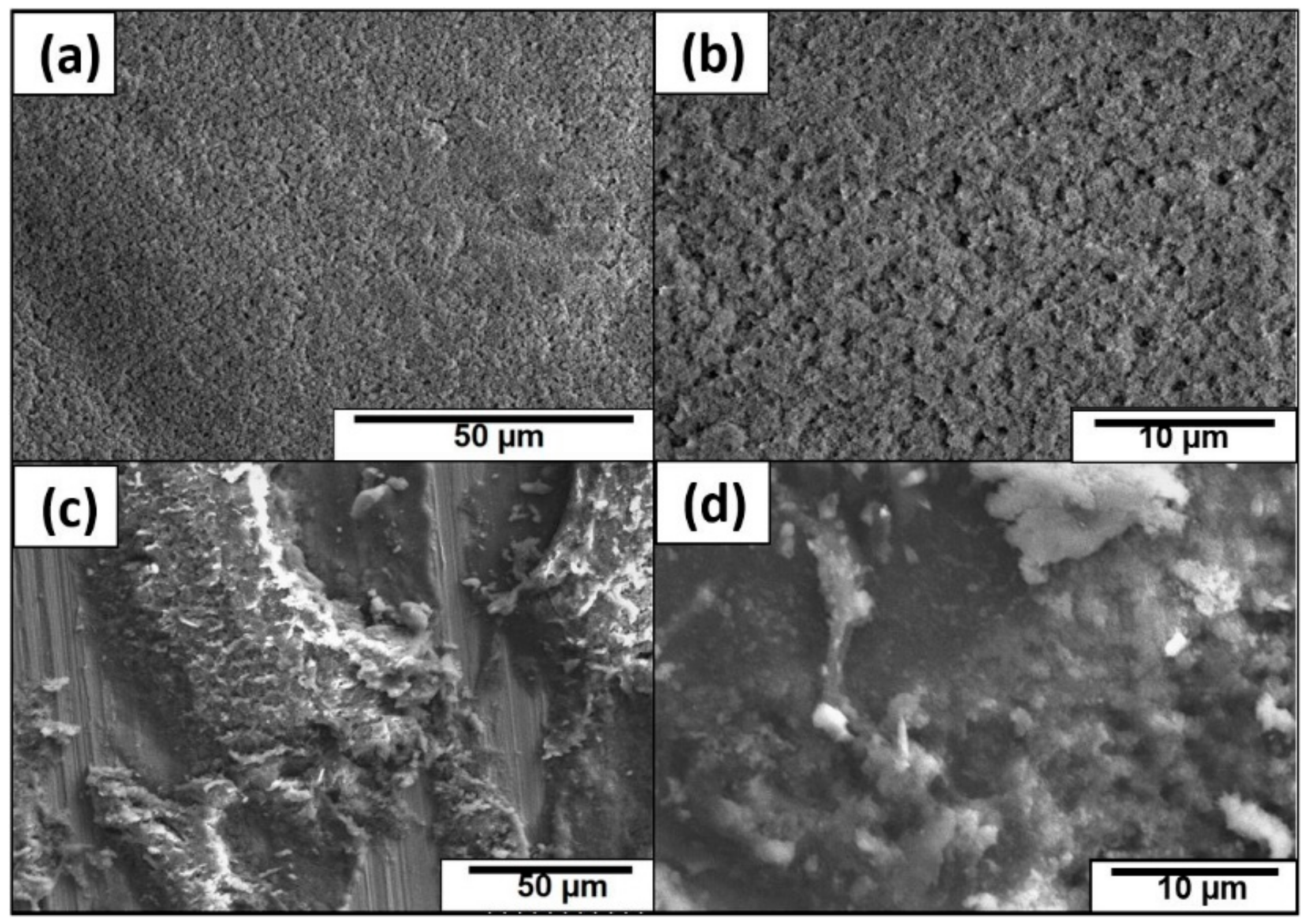 Coatings 08 00414 g013