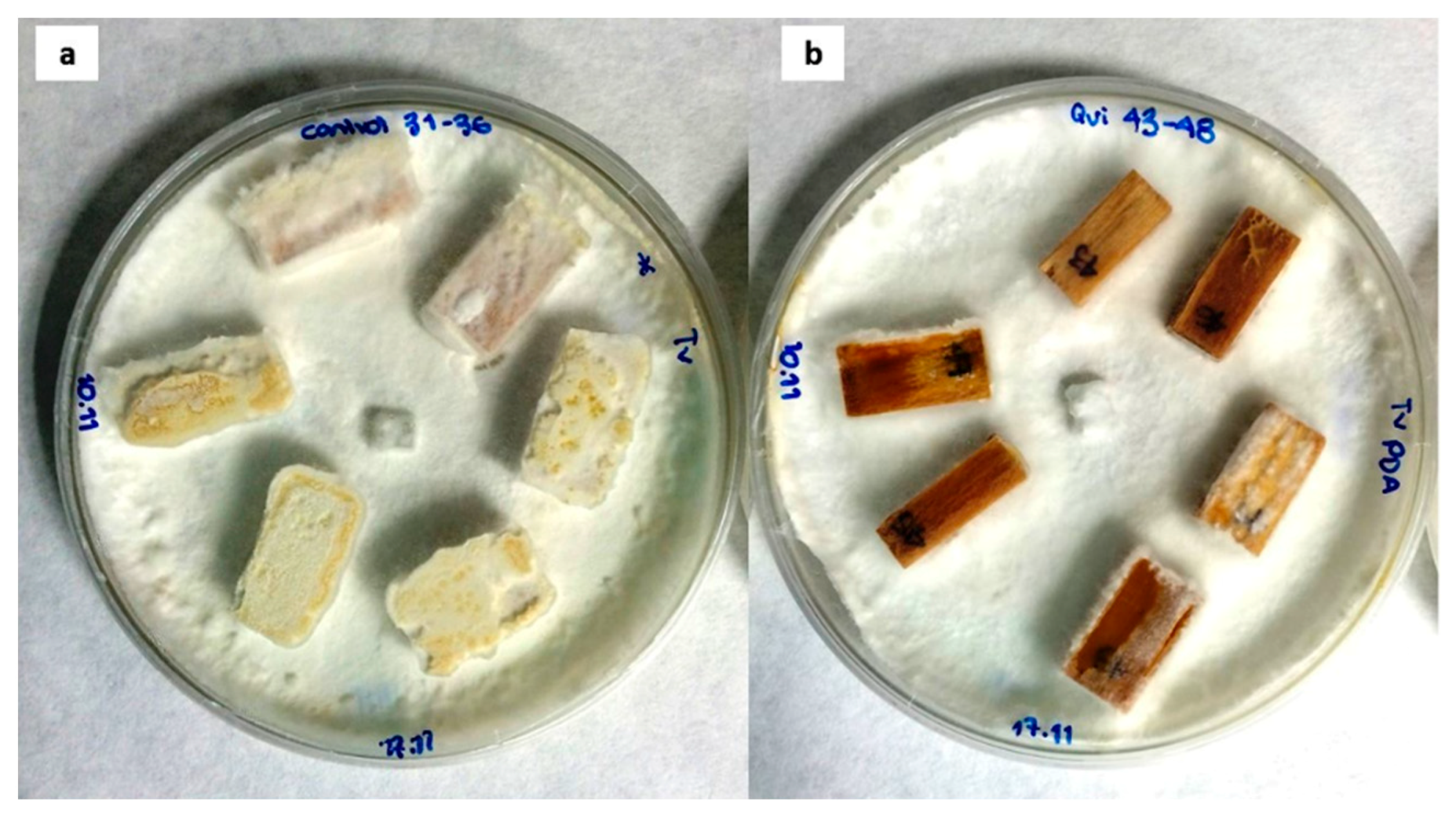 Coatings 08 00415 g001 Coatings 08 00415 g001