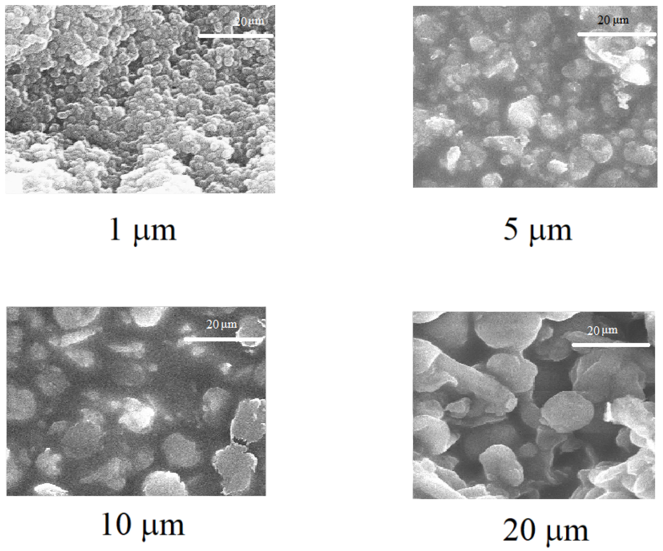 Coatings 08 00426 g005 Coatings 08 00426 g005