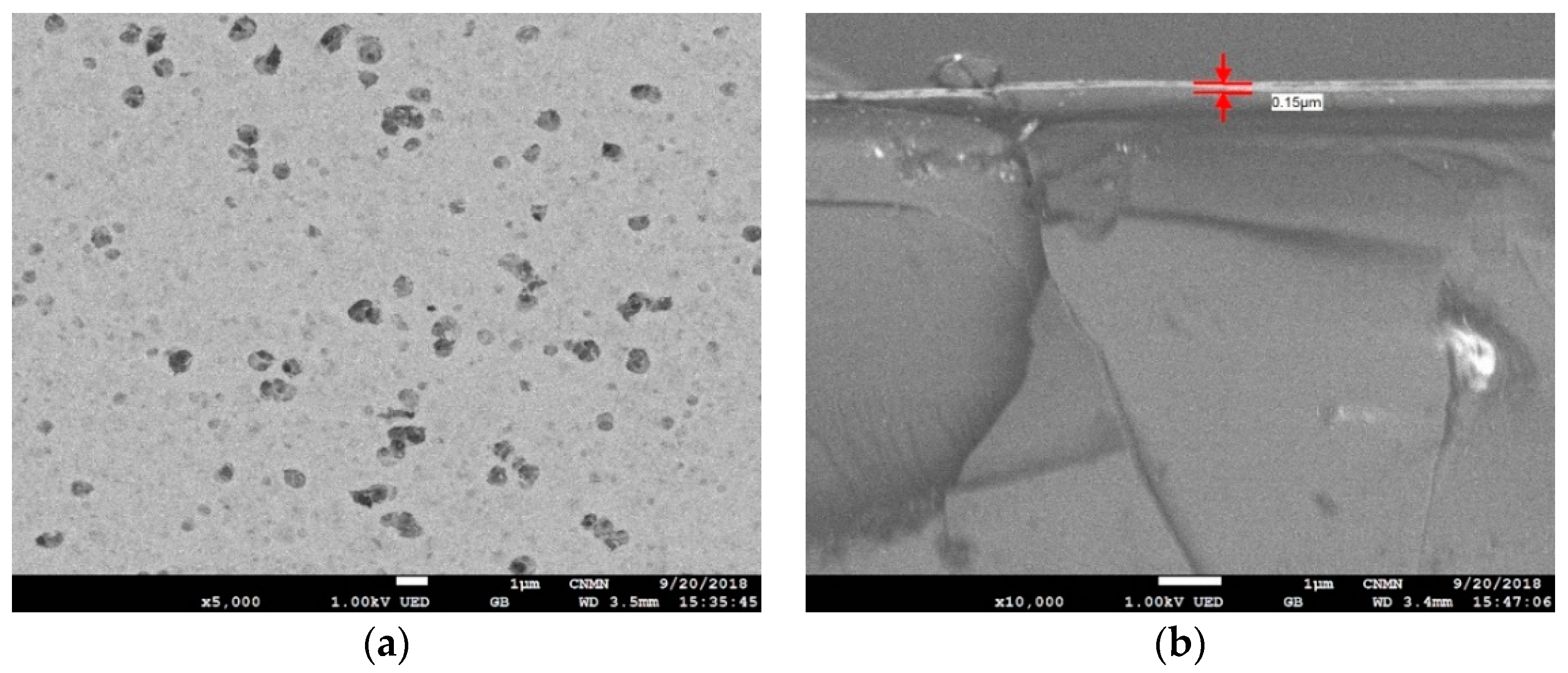 Coatings 08 00434 g003 Coatings 08 00434 g003