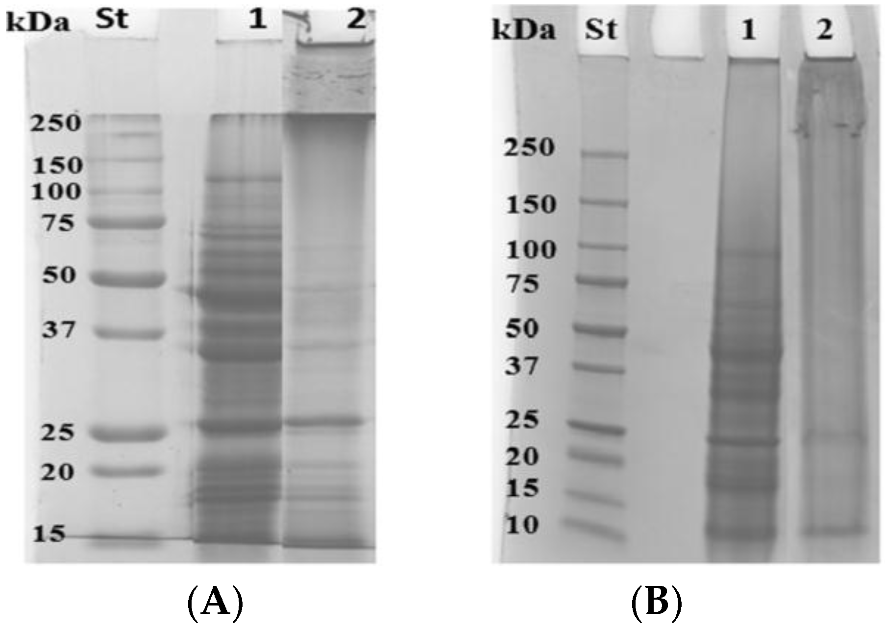 Coatings 08 00435 g002