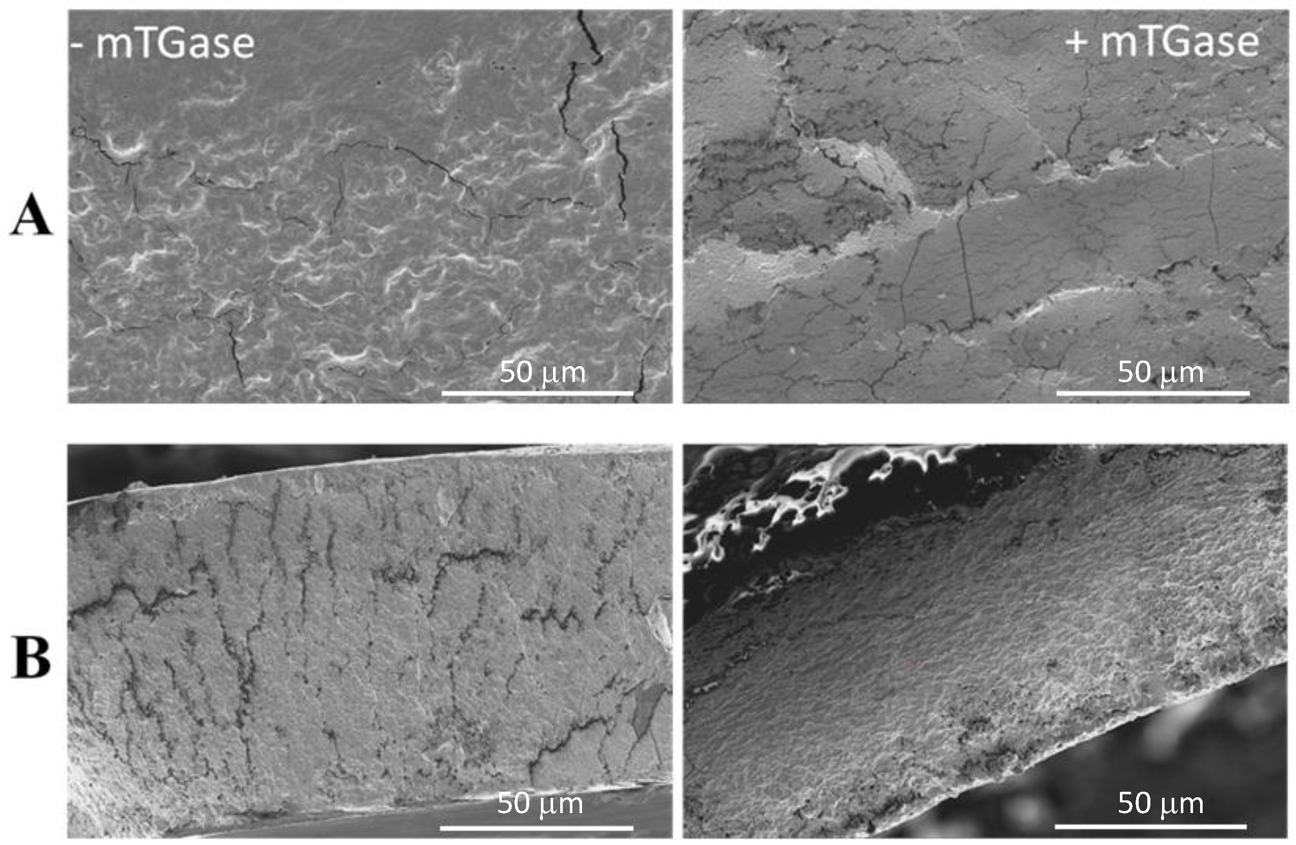 Coatings 08 00435 g003