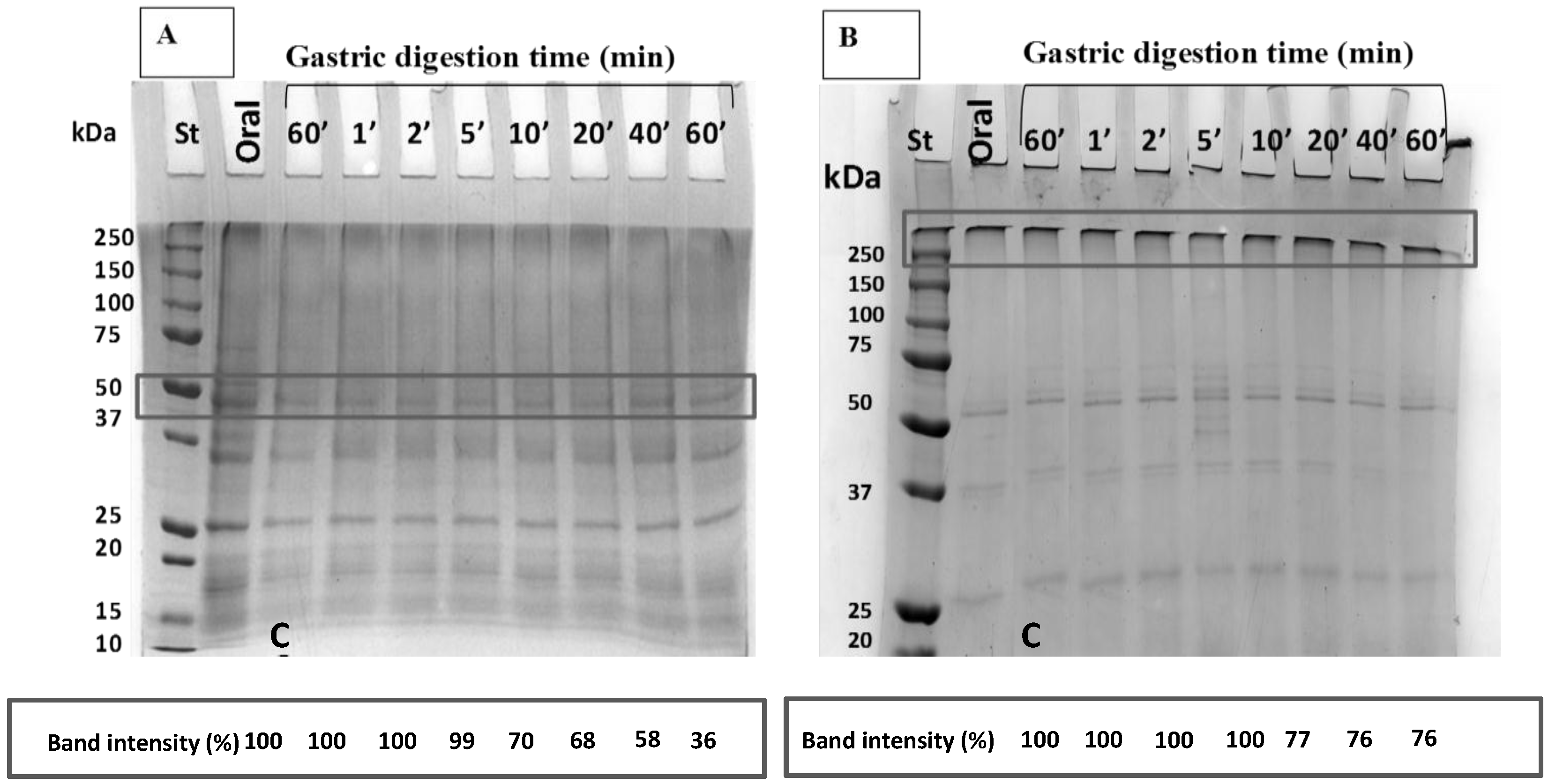 Coatings 08 00435 g004