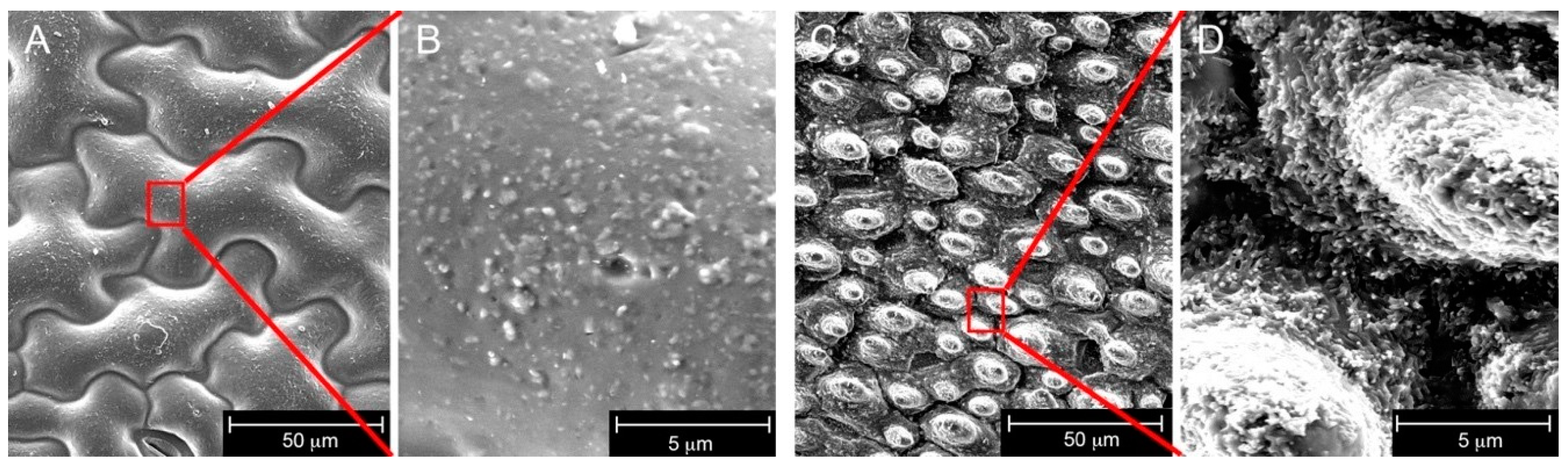 Coatings 08 00436 g002 Coatings 08 00436 g002