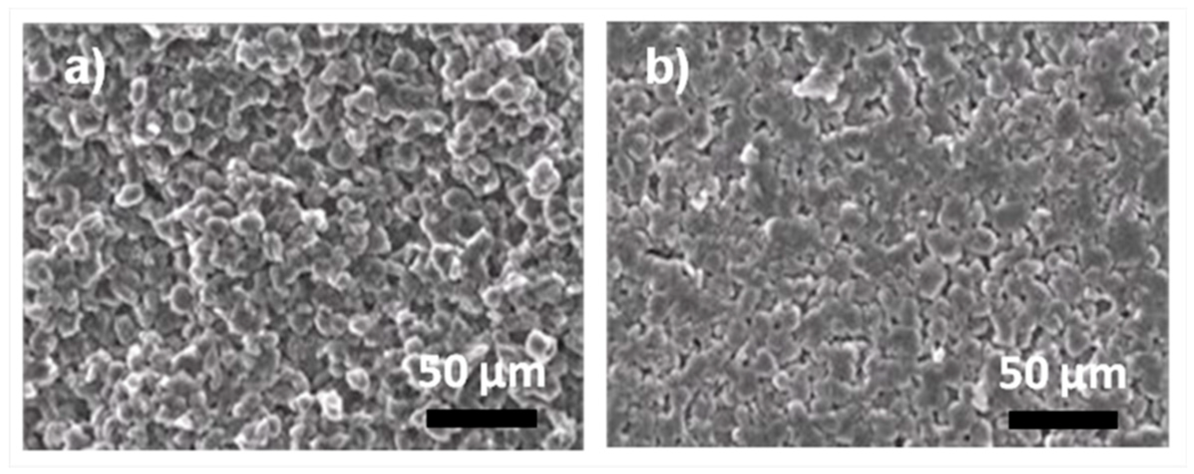 Coatings 08 00437 g005
