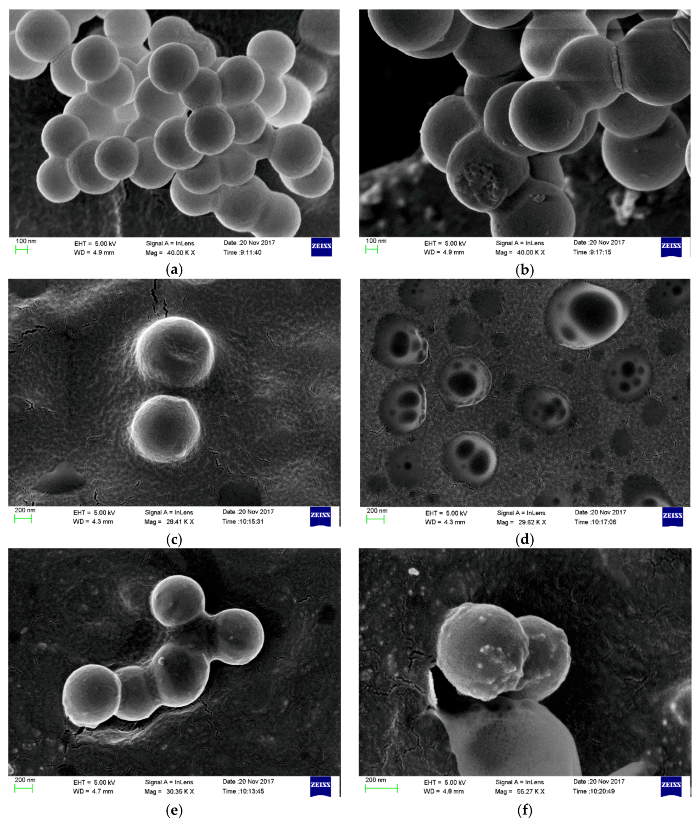 Coatings 08 00439 g013 Coatings 08 00439 g013
