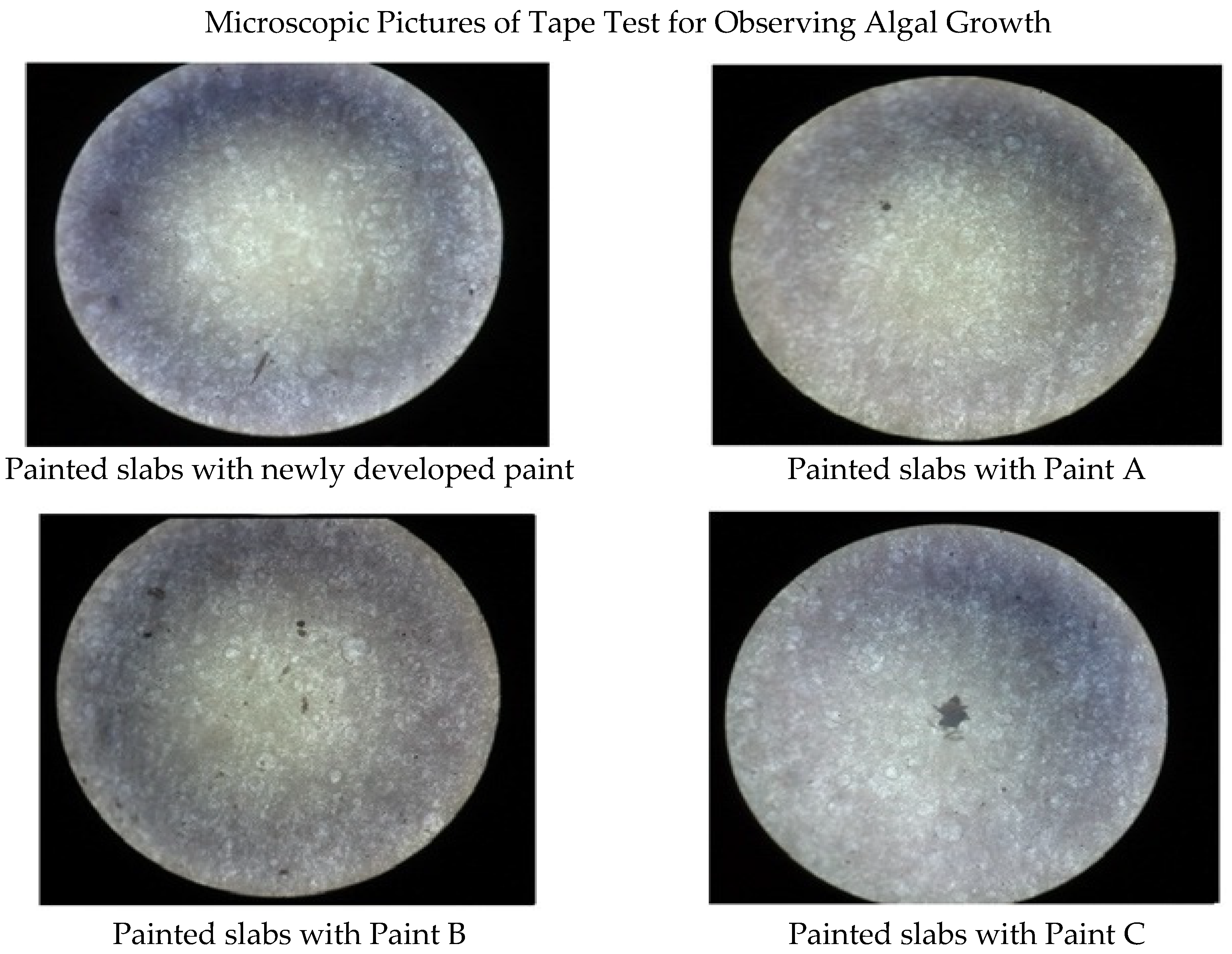 Coatings 08 00440 g002